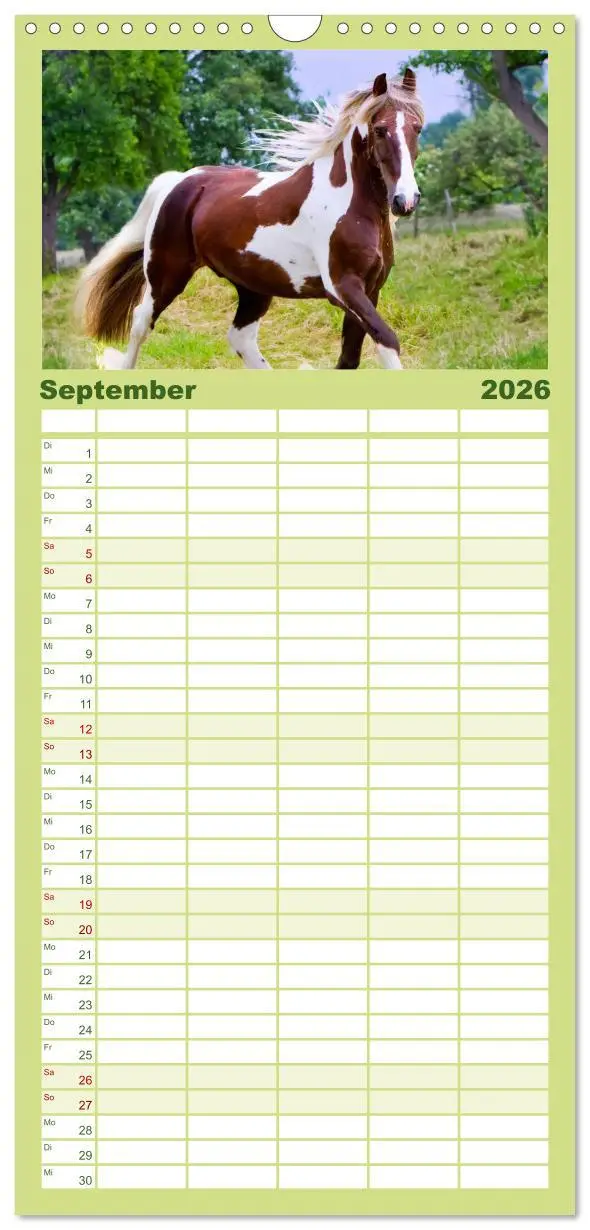 Bild: 9783516515367 | Familienplaner 2026 - Irish Tinker mit 5 Spalten (Wandkalender, 21...