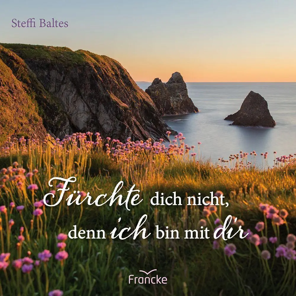 Cover: 9783963625367 | Fürchte dich nicht, denn ich bin bei dir | Steffi Baltes | Taschenbuch