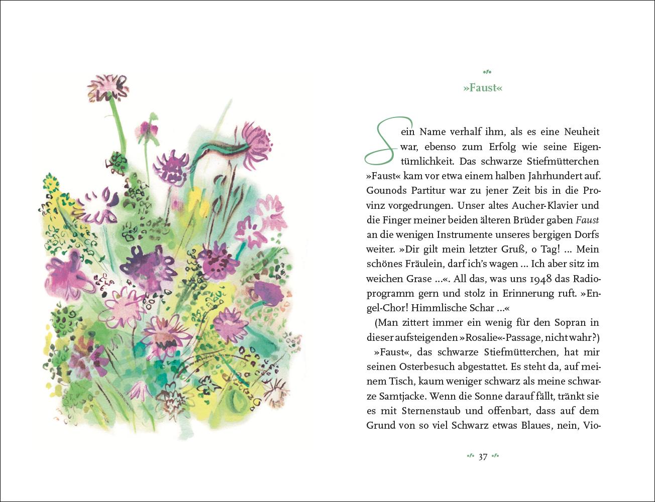 Bild: 9783458195467 | Mein Blumenalbum | Colette | Buch | Insel-Bücherei | 100 S. | Deutsch