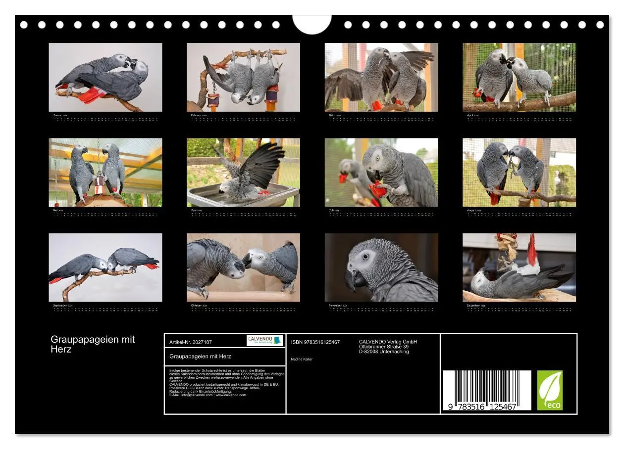 Bild: 9783516125467 | Graupapageien mit Herz (Wandkalender 2026 DIN A4 quer), CALVENDO...