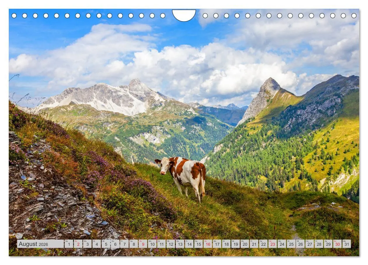 Bild: 9783457715567 | Naturpark Riedingtal (Wandkalender 2026 DIN A4 quer), CALVENDO...