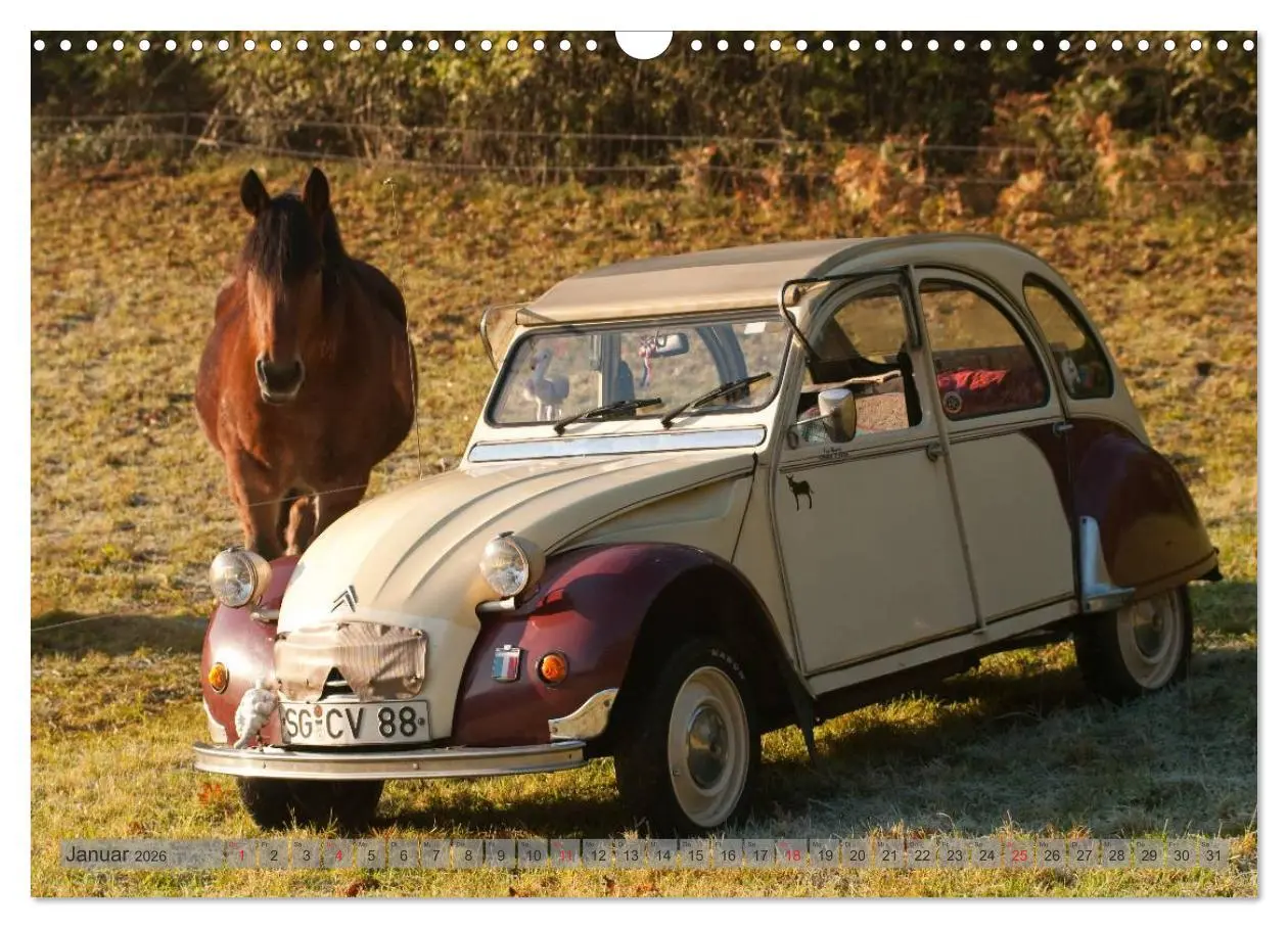 Bild: 9783516045567 | Kultauto Ente Citroën 2CV (Wandkalender 2026 DIN A3 quer), CALVENDO...