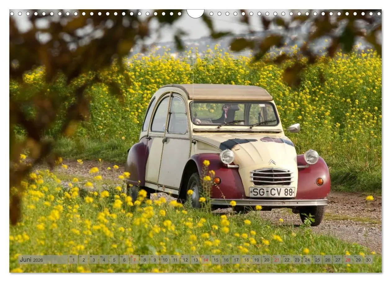 Bild: 9783516045567 | Kultauto Ente Citroën 2CV (Wandkalender 2026 DIN A3 quer), CALVENDO...