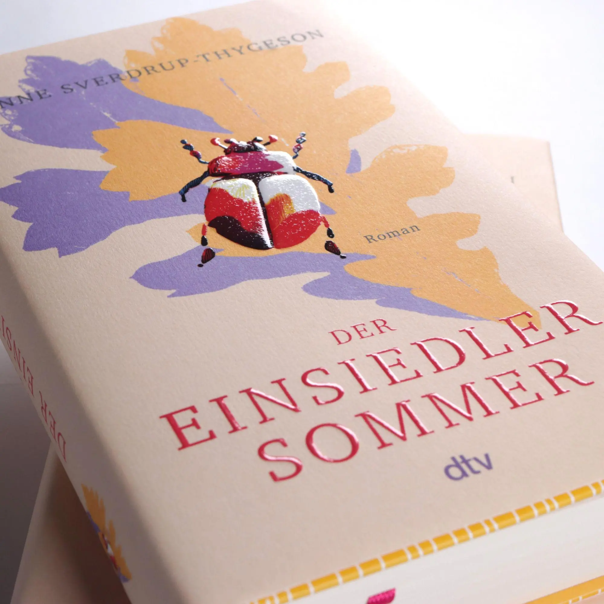 Bild: 9783423285667 | Der Einsiedlersommer | Anne Sverdrup-Thygeson | Buch | 480 S. | 2026
