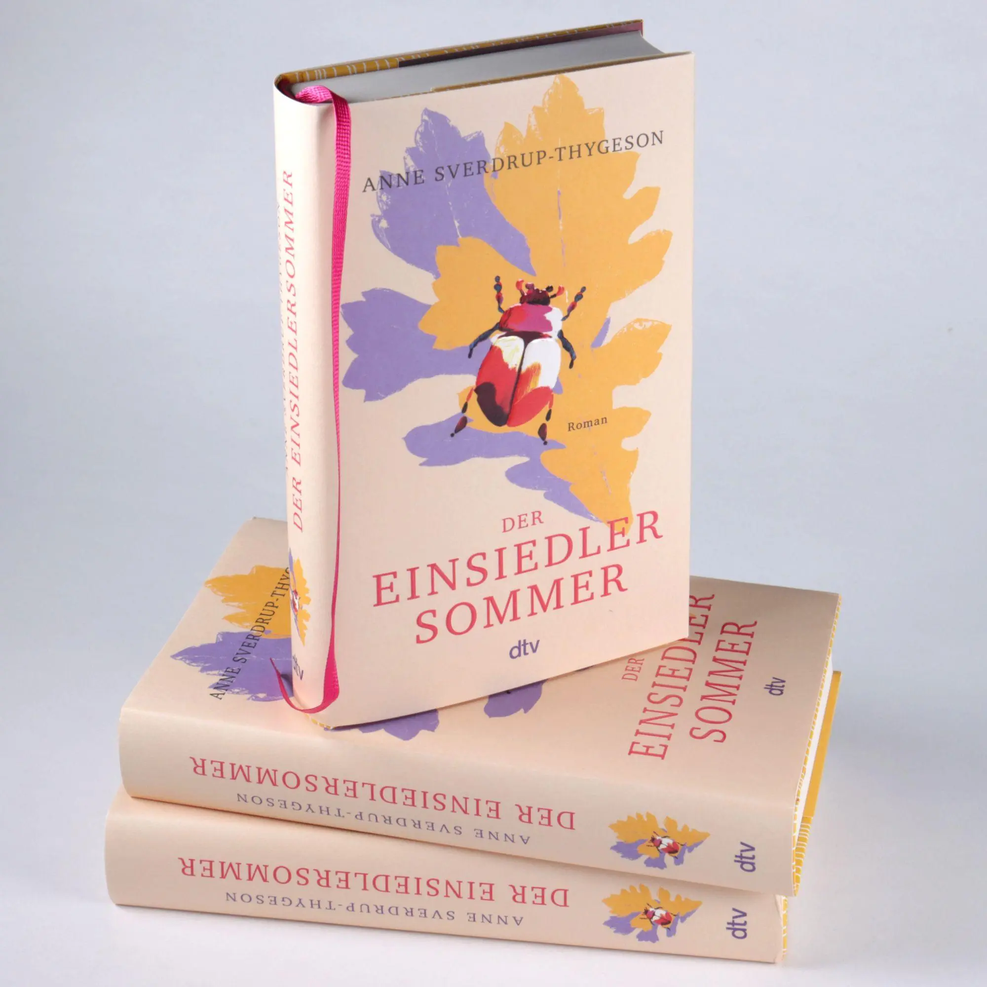 Bild: 9783423285667 | Der Einsiedlersommer | Anne Sverdrup-Thygeson | Buch | 480 S. | 2026