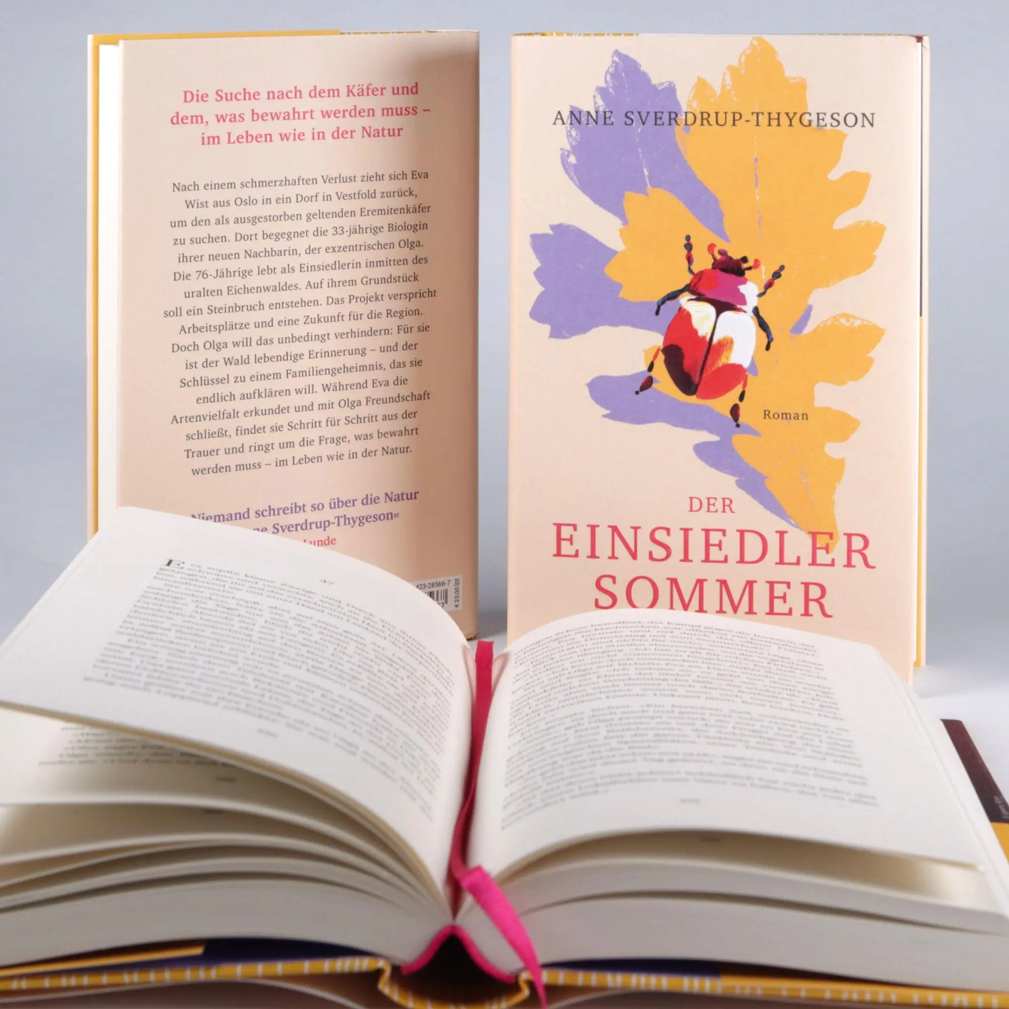 Bild: 9783423285667 | Der Einsiedlersommer | Anne Sverdrup-Thygeson | Buch | 480 S. | 2026