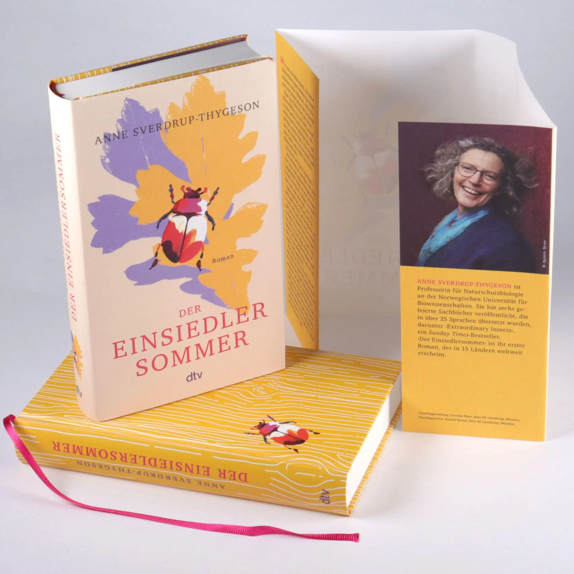 Bild: 9783423285667 | Der Einsiedlersommer | Anne Sverdrup-Thygeson | Buch | 480 S. | 2026