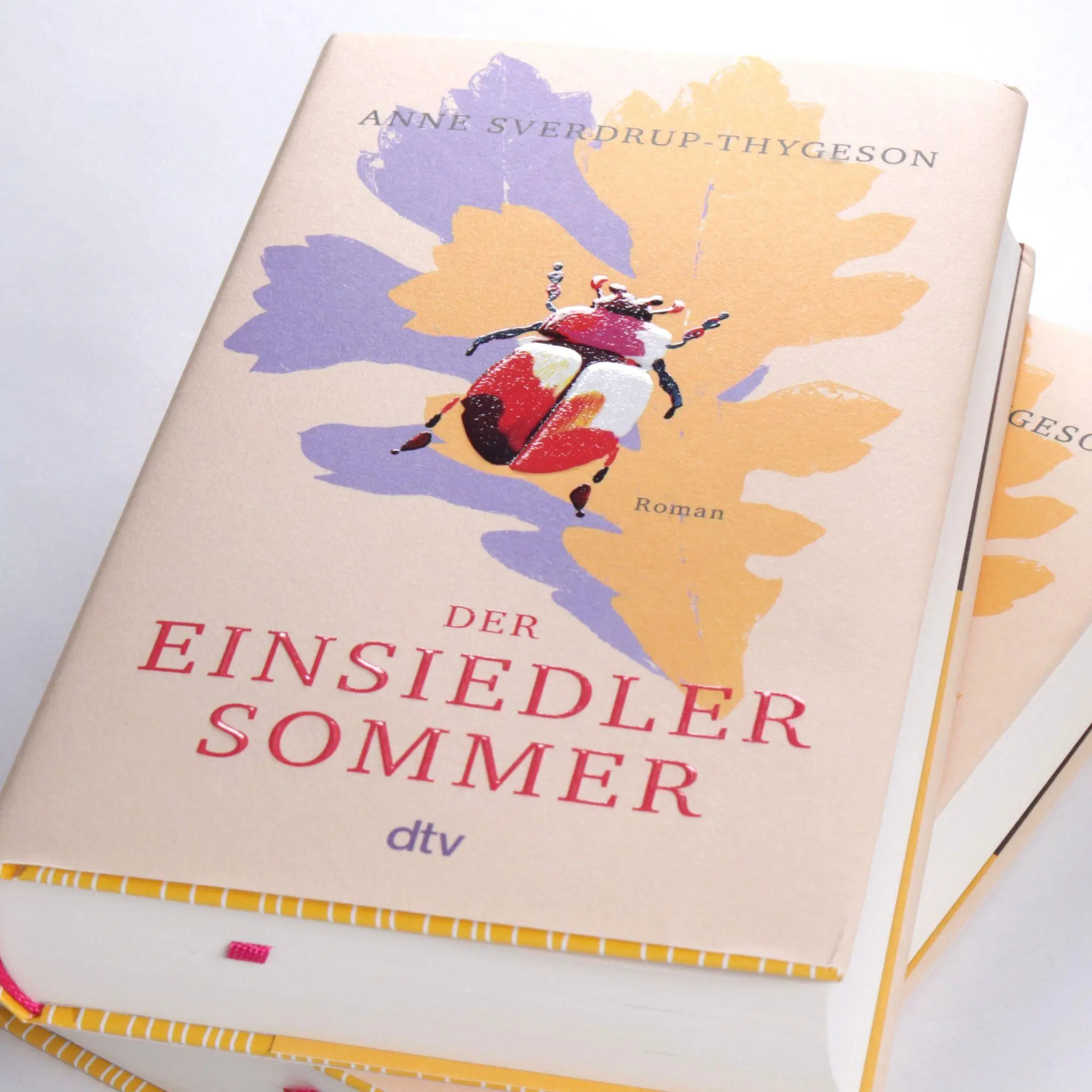 Bild: 9783423285667 | Der Einsiedlersommer | Anne Sverdrup-Thygeson | Buch | 480 S. | 2026