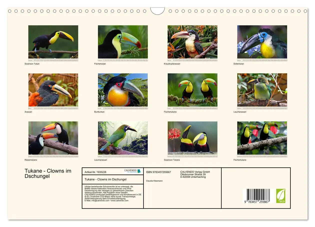 Bild: 9783457255667 | Tukane - Clowns im Dschungel (Wandkalender 2026 DIN A3 quer),...