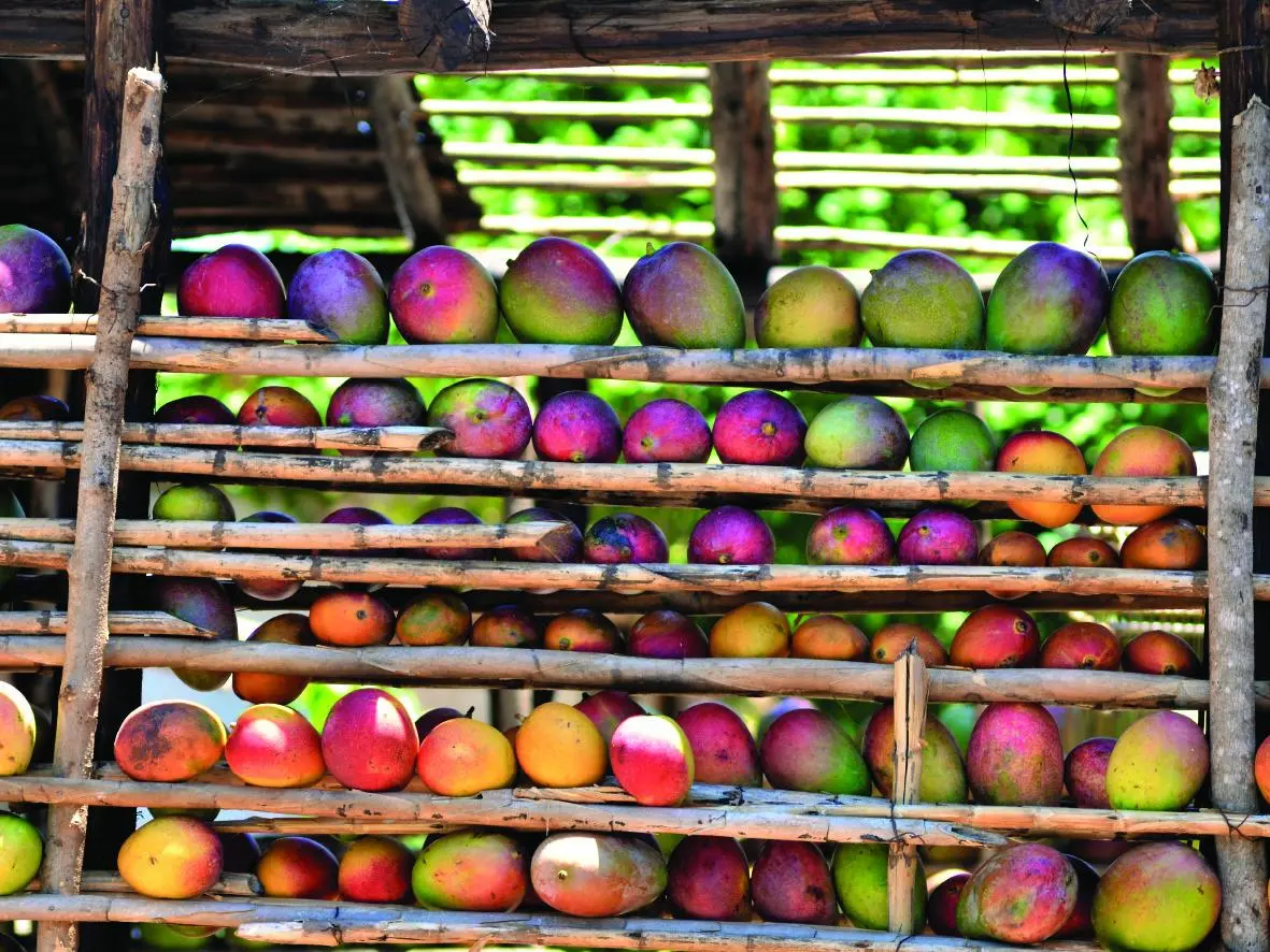 Bild: 9780714875767 | Cuba | The Cookbook | Madelaine Vazquez Galvez (u. a.) | Buch | 432 S.
