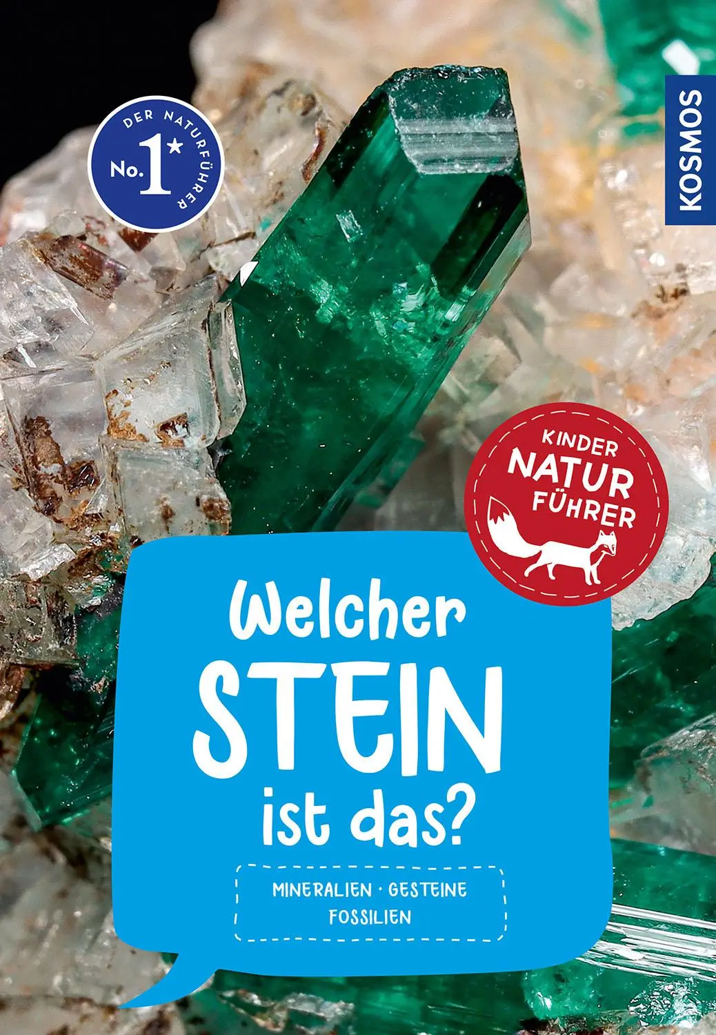 Cover: 9783440175767 | Welcher Stein ist das? Kindernaturführer | Rupert Hochleitner | Buch