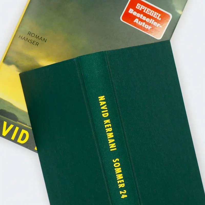 Bild: 9783446285767 | Sommer 24 | Roman | Navid Kermani | Buch | 160 S. | Deutsch | 2026