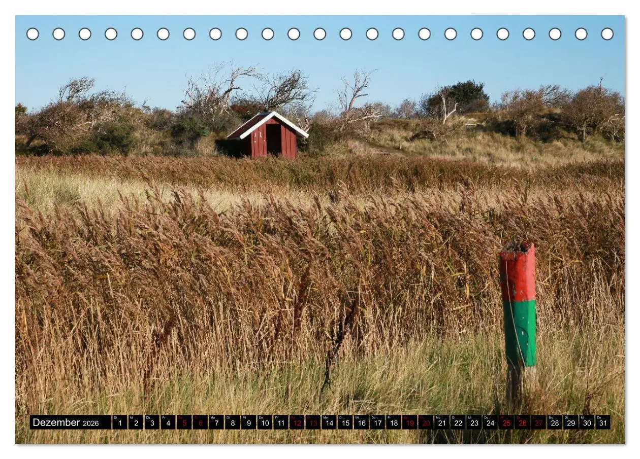 Bild: 9783457315767 | Insel Baltrum, Perle im Ostfriesischen Wattenmeer (Tischkalender...
