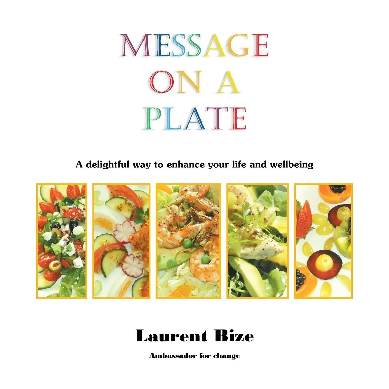 Cover: 9781504335867 | Message on a Plate | Laurent Bize | Taschenbuch | Englisch | 2015