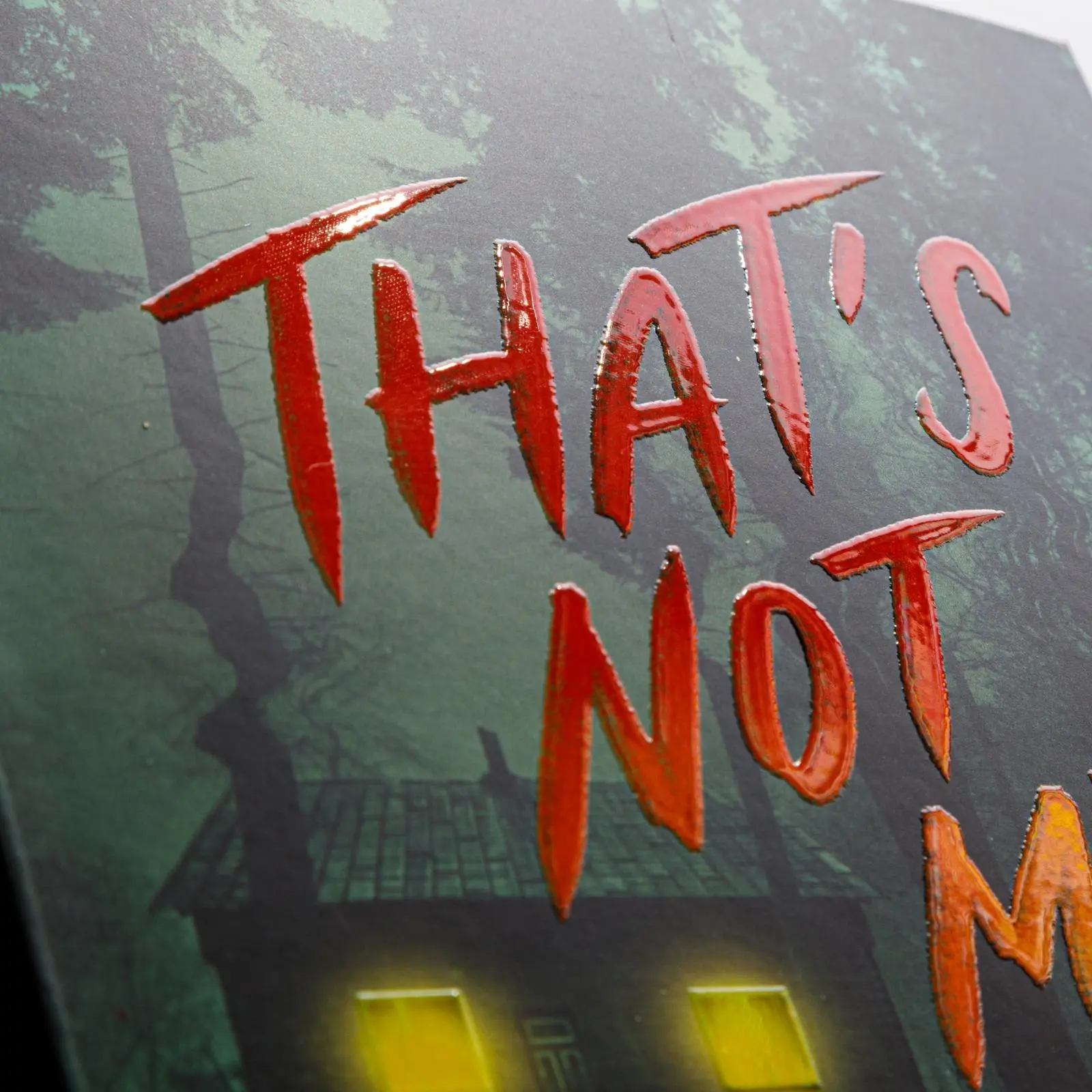 Bild: 9783551585967 | That's Not My Name | Megan Lally | Taschenbuch | 384 S. | Deutsch