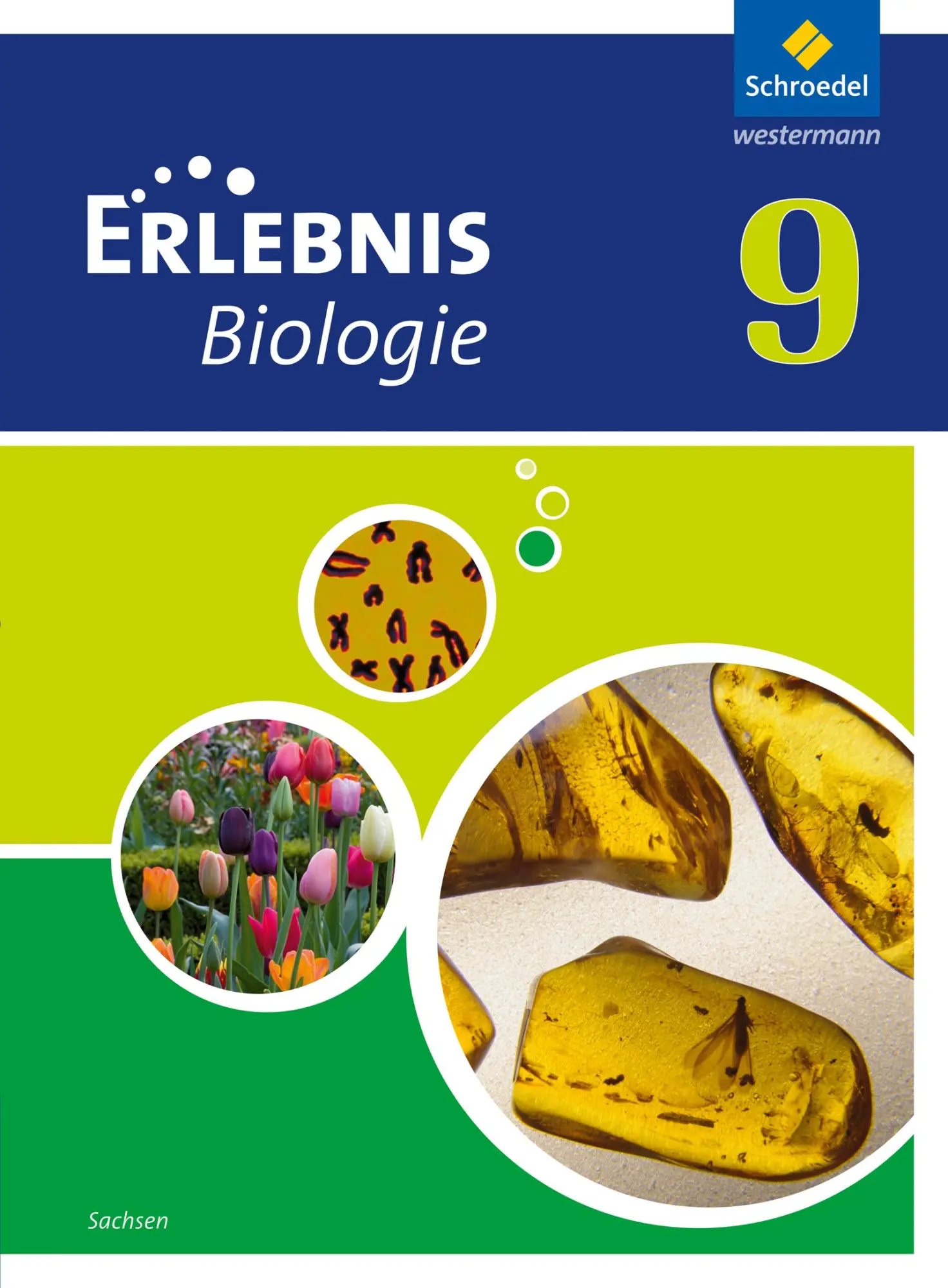 Cover: 9783507776067 | Erlebnis Biologie 9. Schulbuch. Sachsen | Ausgabe 2012 | Dobers | Buch