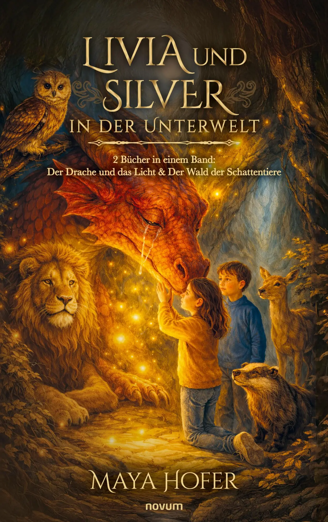 Cover: 9783711616067 | Livia und Silver in der Unterwelt | Maya Hofer | Taschenbuch | 146 S.