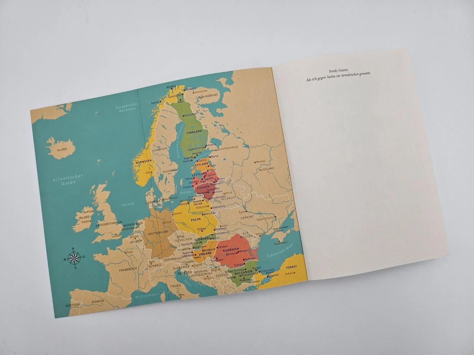 Bild: 9783890296067 | Als ich gegen Stalin im Armdrücken gewann | Fredy Gareis | Taschenbuch