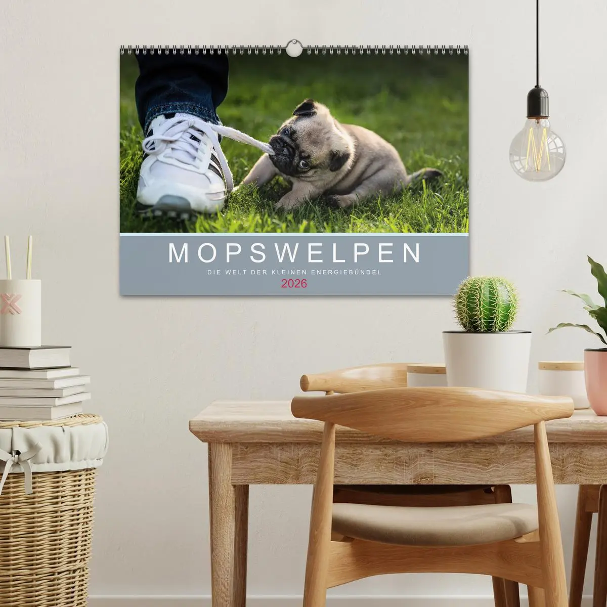 Bild: 9783457886267 | Mopswelpen (Wandkalender 2026 DIN A3 quer), CALVENDO Monatskalender