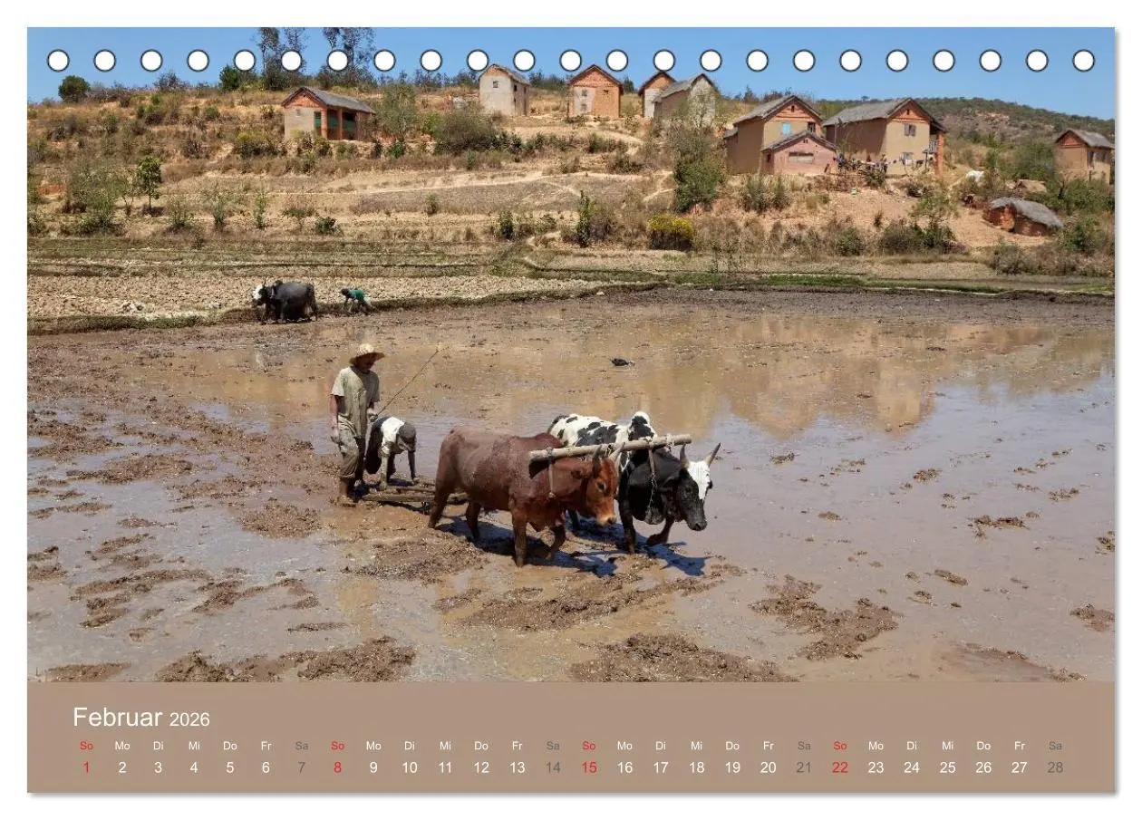 Bild: 9783457956267 | Alltag in Madagaskar (Tischkalender 2026 DIN A5 quer), CALVENDO...