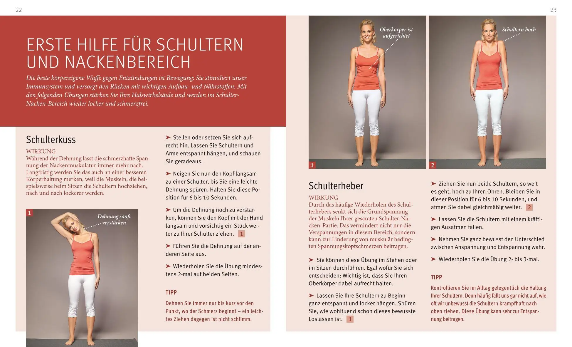 Bild: 9783833846267 | Rücken-Akut-Training (mit DVD) | Ingo Froböse | Taschenbuch | Fitness