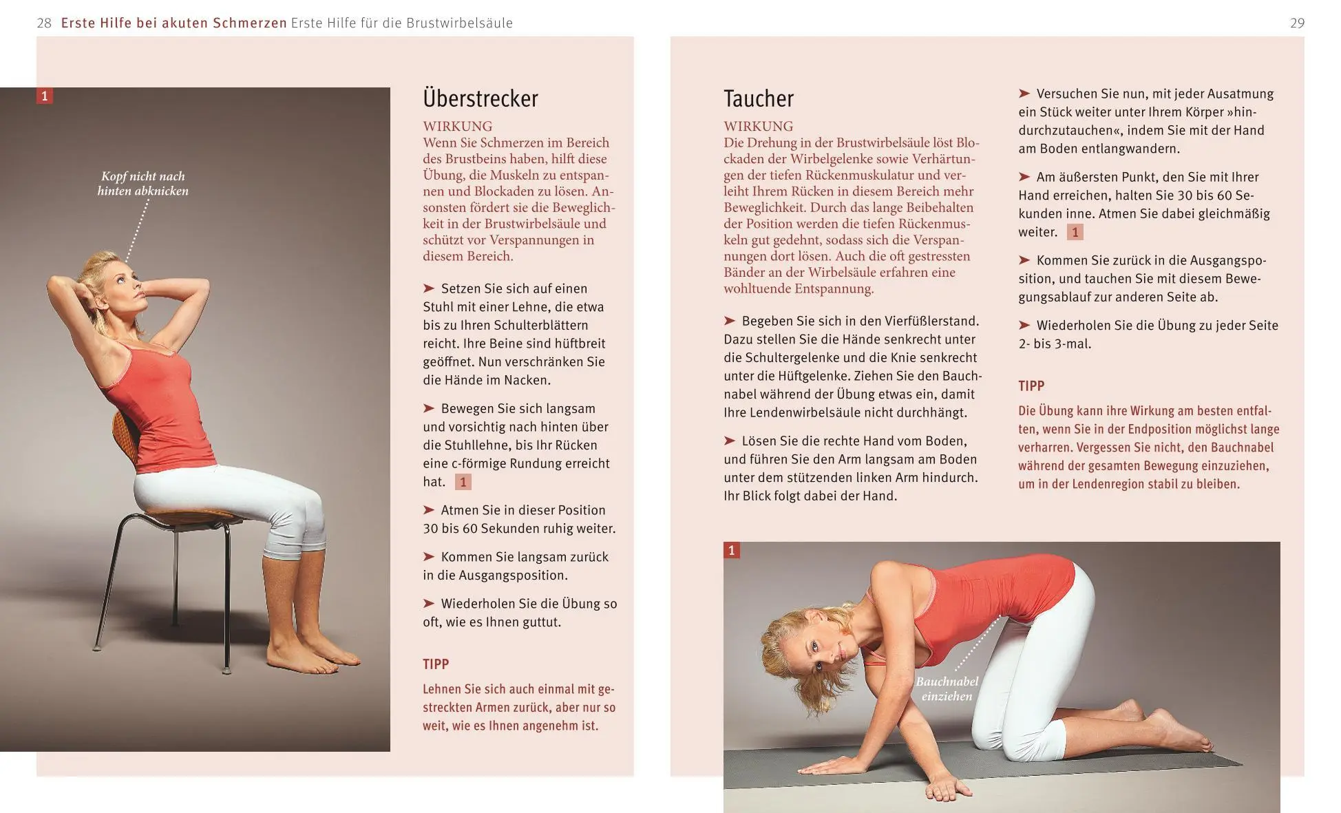 Bild: 9783833846267 | Rücken-Akut-Training (mit DVD) | Ingo Froböse | Taschenbuch | Fitness