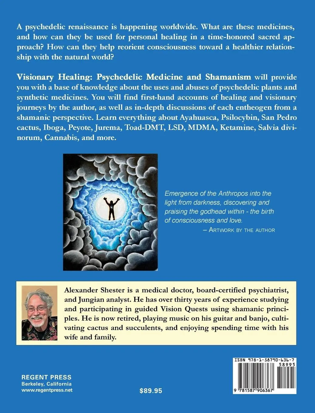 Rückseite: 9781587906367 | VISIONARY HEALING Psychedelic Medicine and Shamanism | Shester | Buch