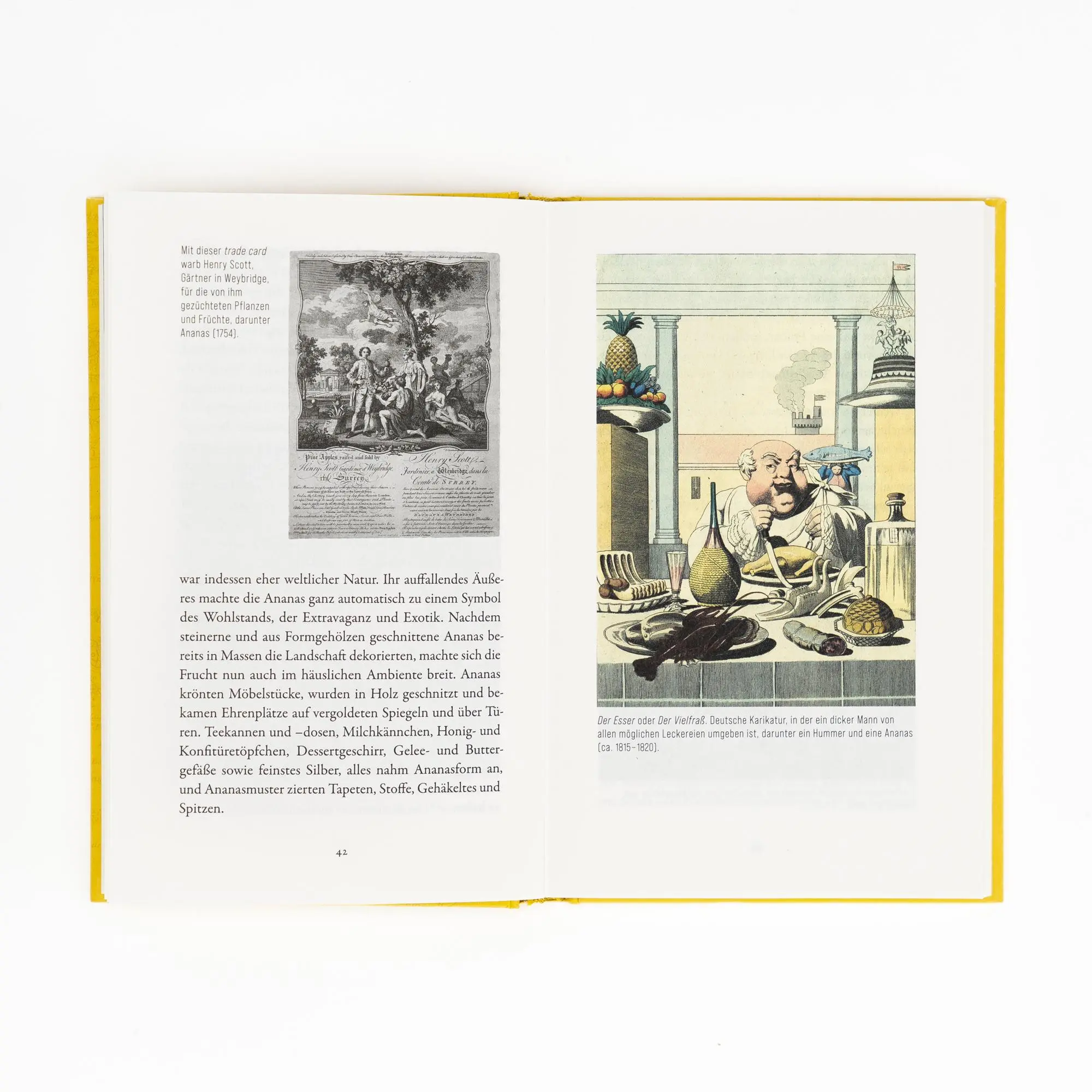 Bild: 9783365006467 | Ananas. Die Geschichte eines Aufstiegs | Kaori O'Connor | Buch | 2025