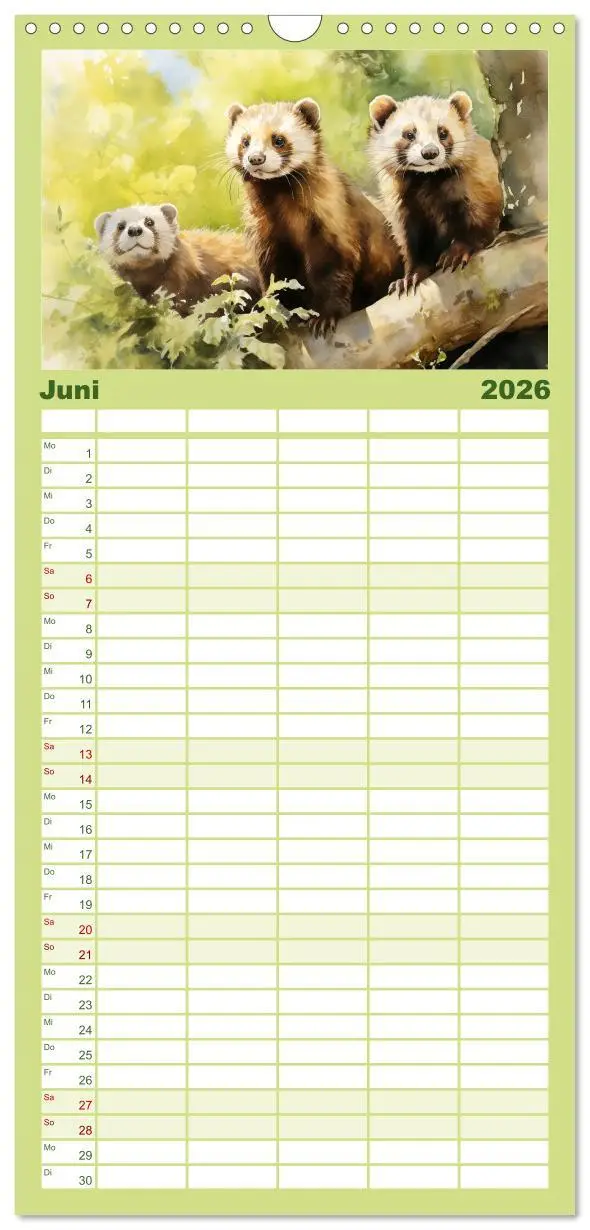 Bild: 9783516496567 | Familienplaner 2026 - Zwölf Monate im Wald mit 5 Spalten...