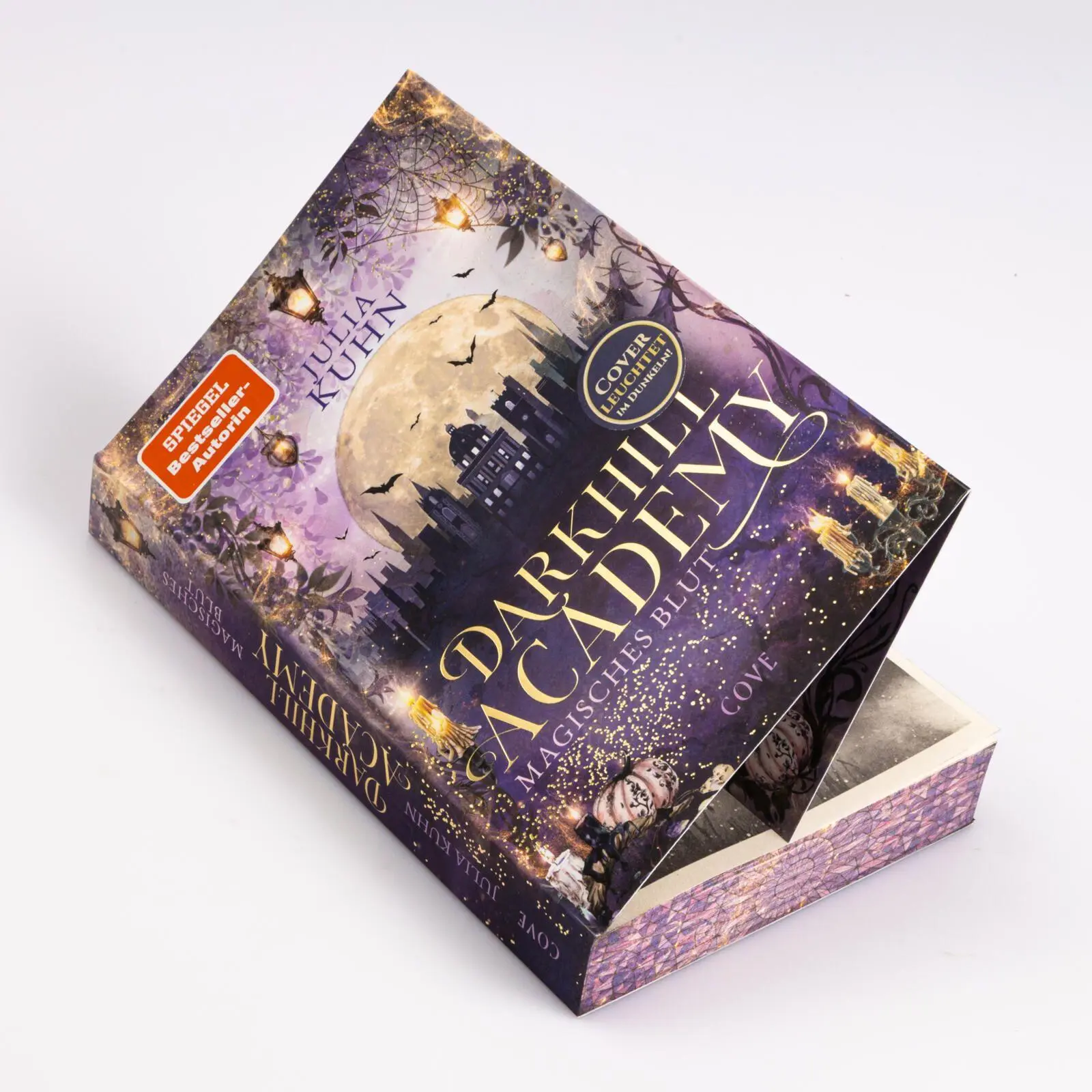 Bild: 9783551586667 | Darkhill Academy 1: Magisches Blut | Julia Kuhn | Taschenbuch | 368 S.