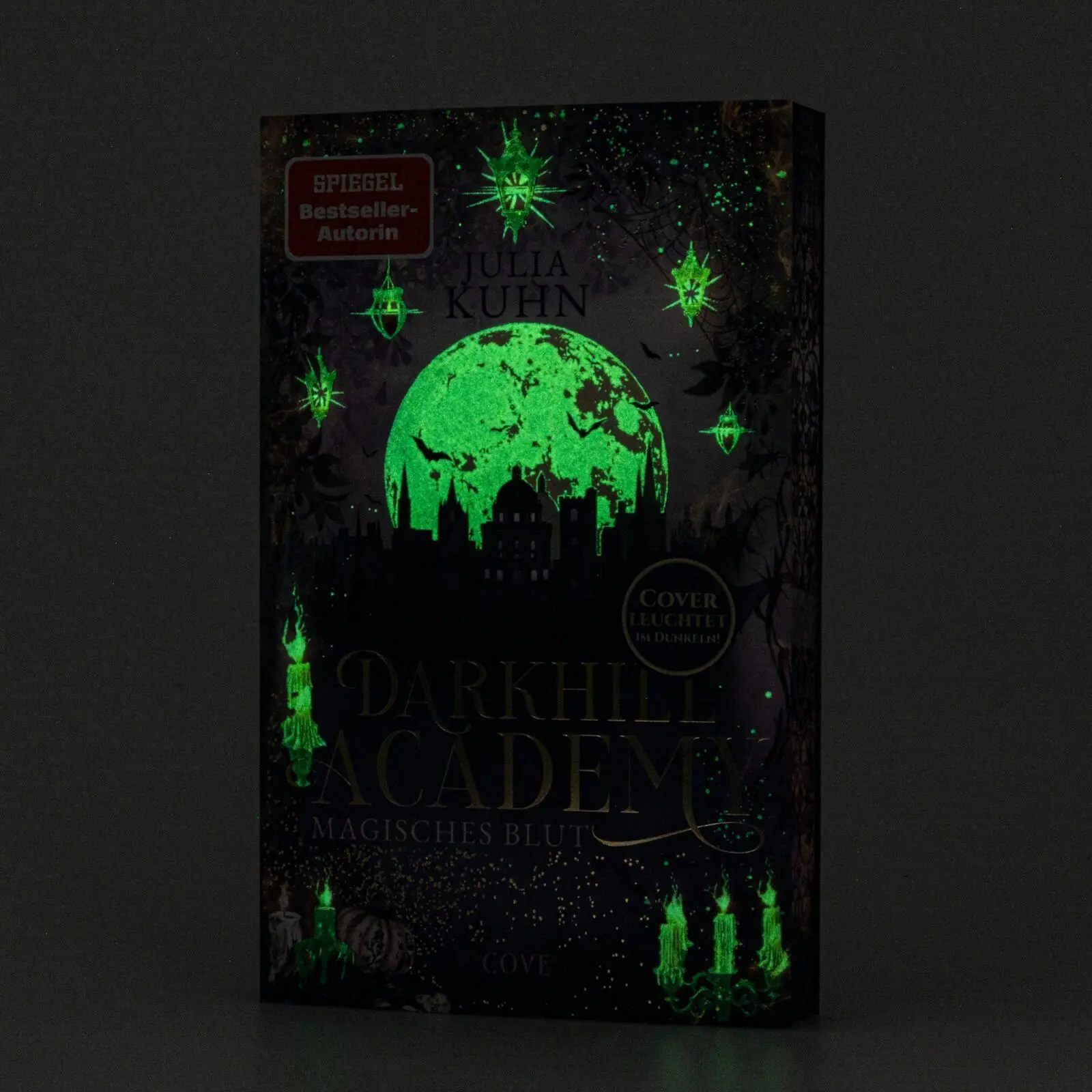 Bild: 9783551586667 | Darkhill Academy 1: Magisches Blut | Julia Kuhn | Taschenbuch | 368 S.