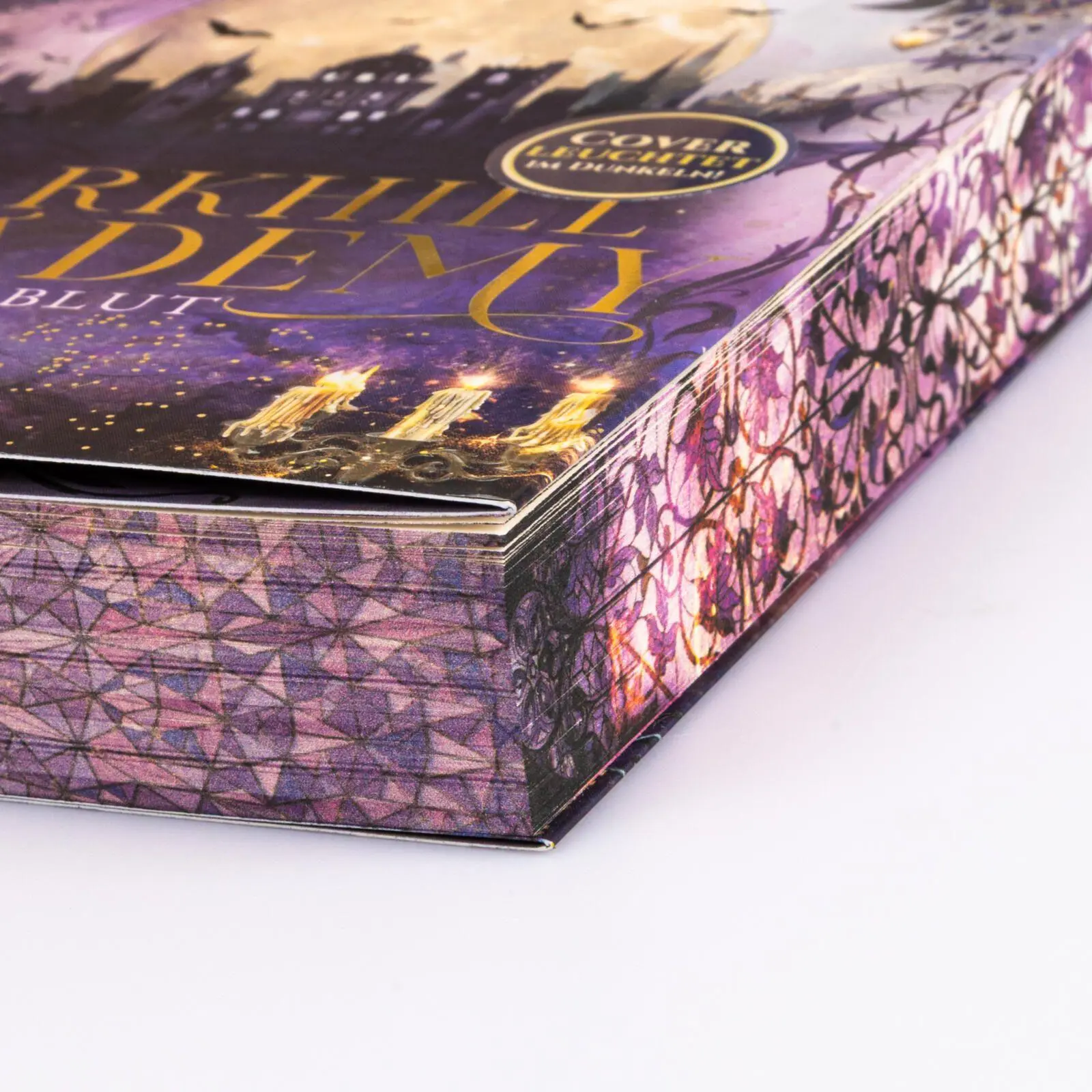 Bild: 9783551586667 | Darkhill Academy 1: Magisches Blut | Julia Kuhn | Taschenbuch | 368 S.