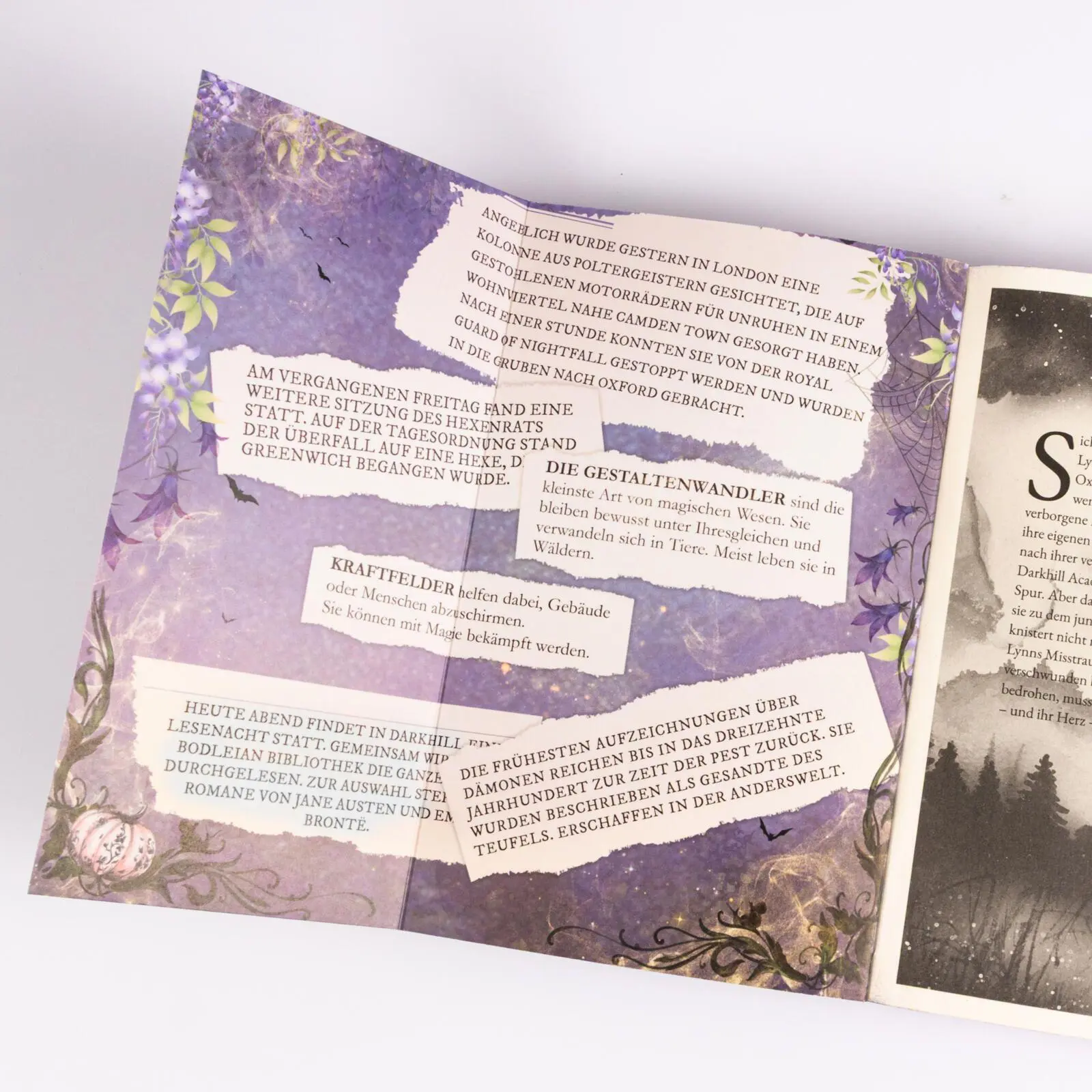Bild: 9783551586667 | Darkhill Academy 1: Magisches Blut | Julia Kuhn | Taschenbuch | 368 S.