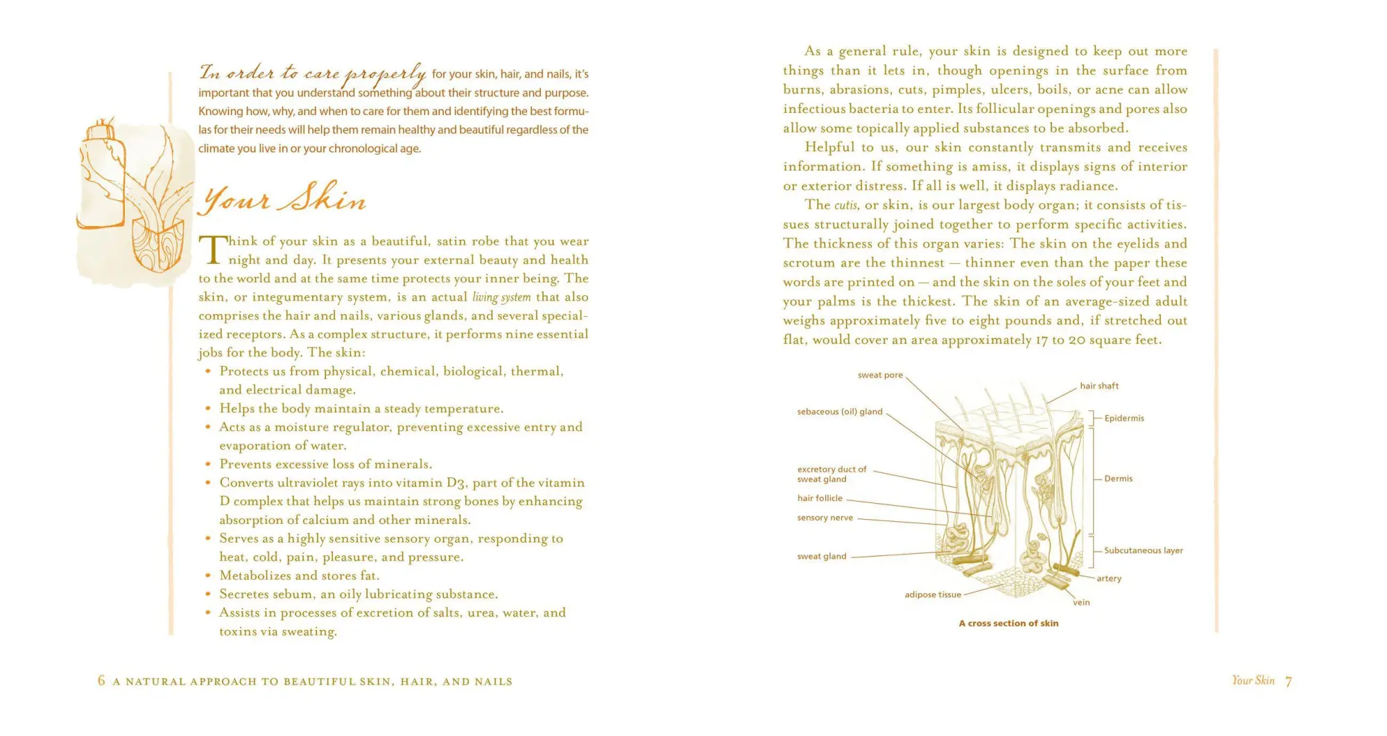 Bild: 9781580176767 | Organic Body Care Recipes | Stephanie L Tourles | Taschenbuch | 2007