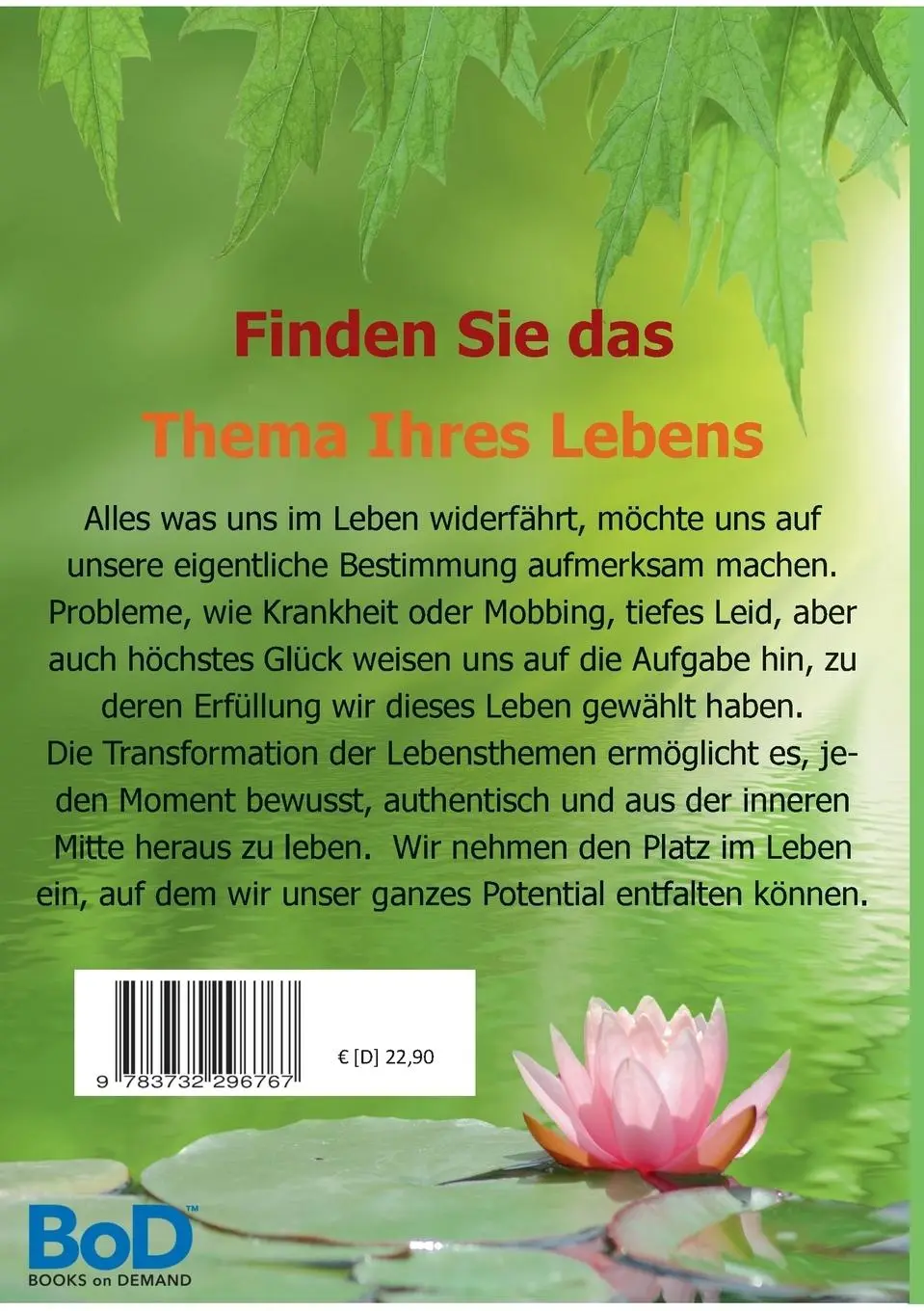 Rückseite: 9783732296767 | Seelenheil | Erlösung der Lebensthemen | Satyam S. Kathrein | Buch