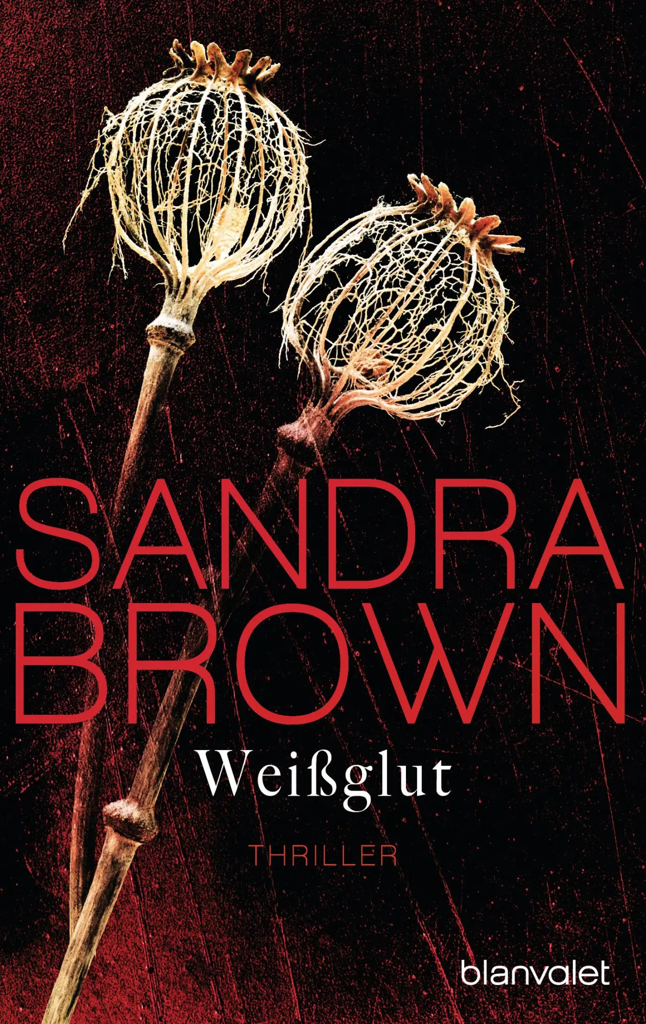 Cover: 9783734106767 | Weißglut | Sandra Brown | Taschenbuch | 512 S. | Deutsch | 2018