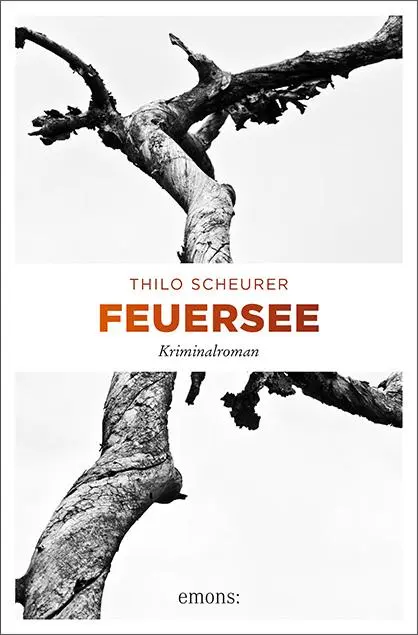 Cover: 9783740806767 | Feuersee | Thilo Scheurer | Taschenbuch | 304 S. | Deutsch | 2019