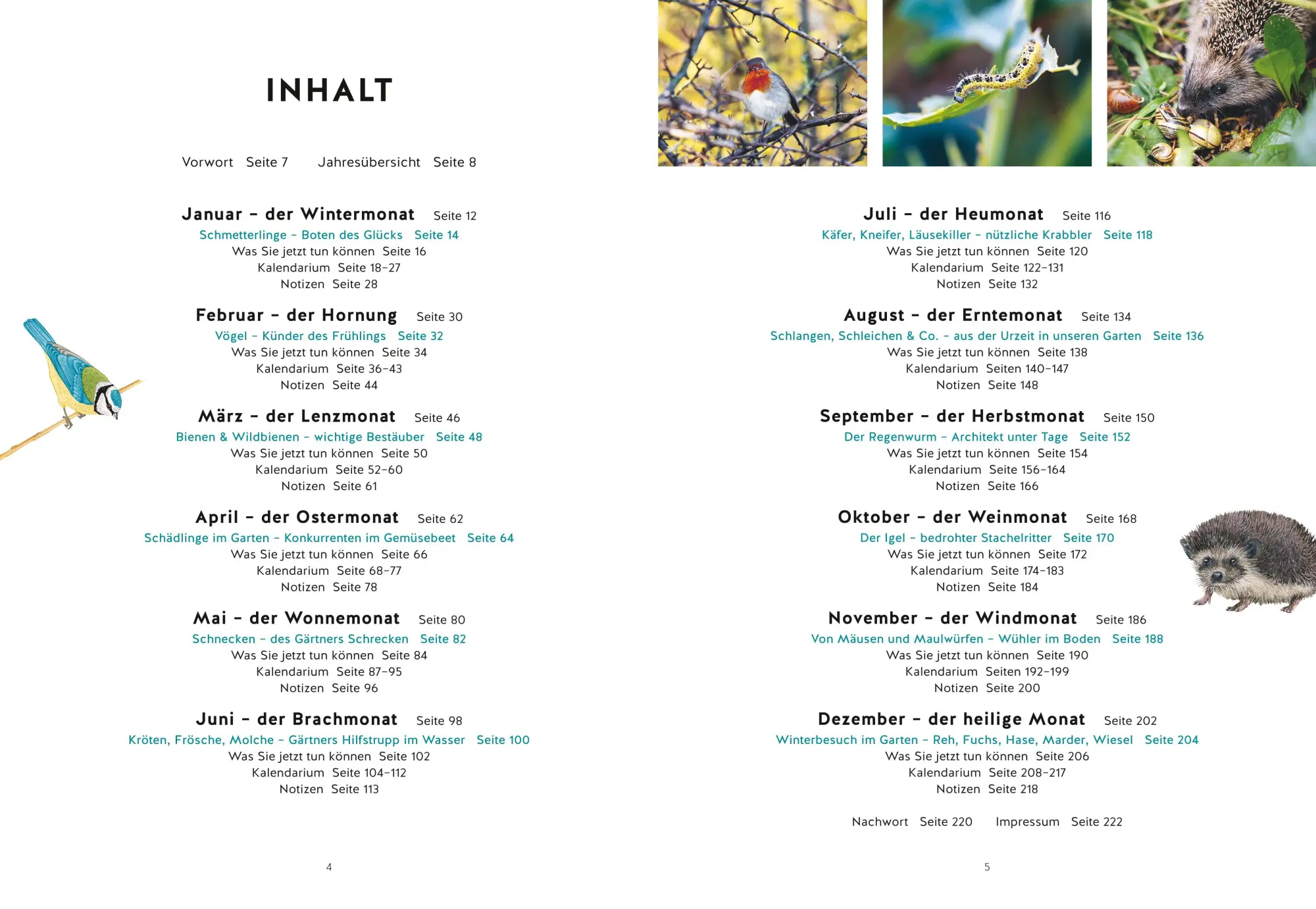 Bild: 9783833896767 | Mein Gartenkalender 2026 | Wolf-Dieter Storl | Buch | GU Garten extra