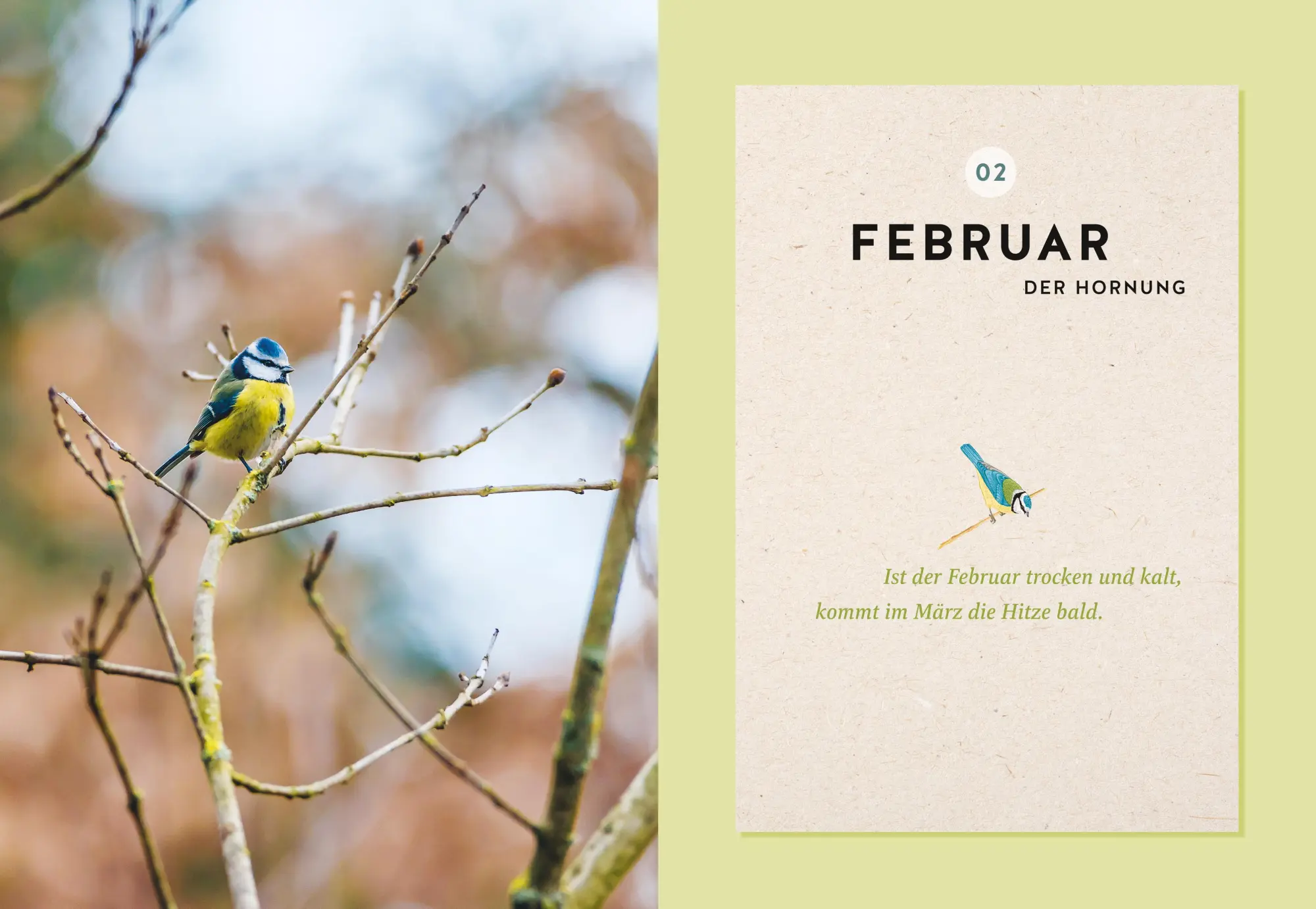 Bild: 9783833896767 | Mein Gartenkalender 2026 | Wolf-Dieter Storl | Buch | GU Garten extra