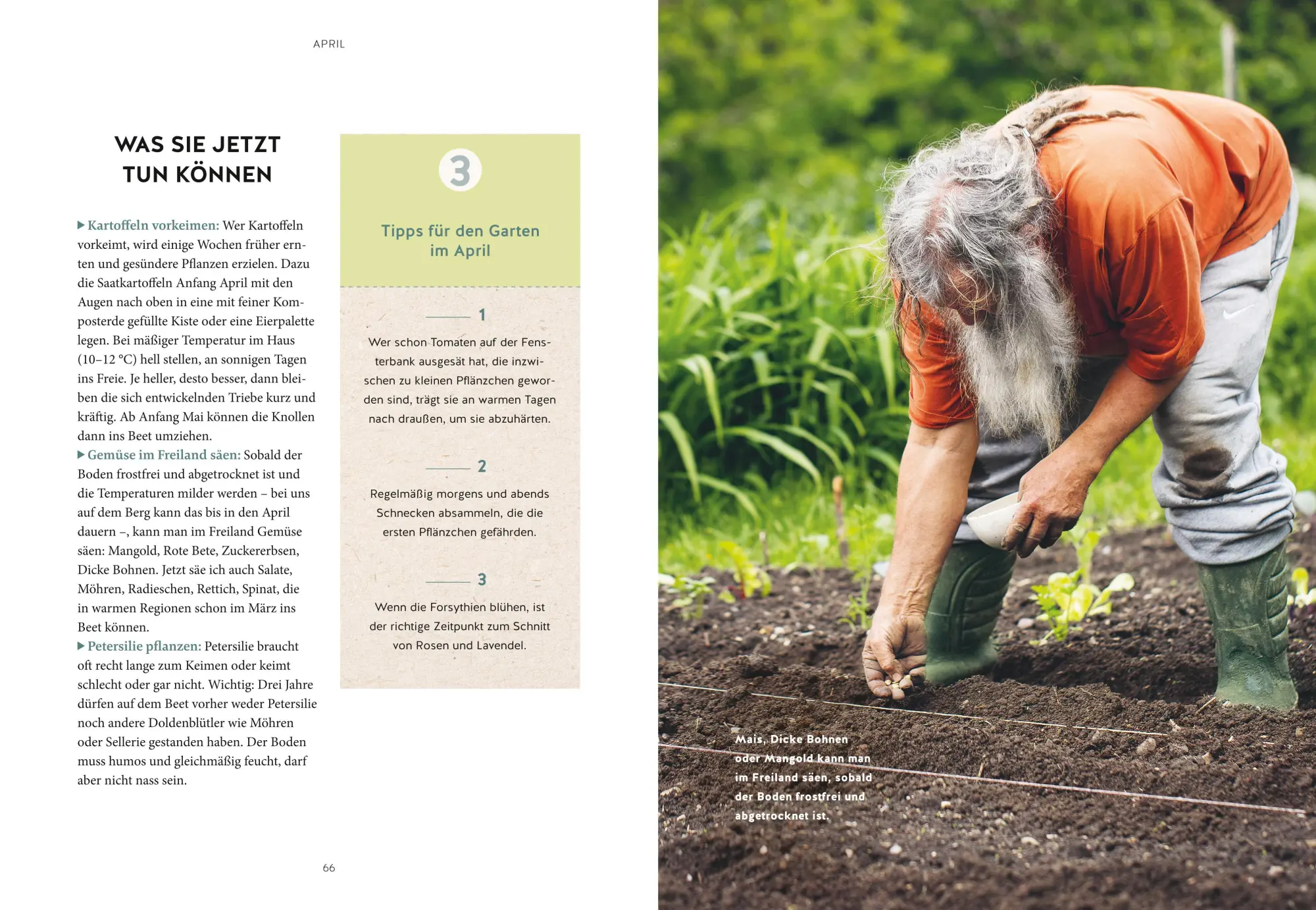 Bild: 9783833896767 | Mein Gartenkalender 2026 | Wolf-Dieter Storl | Buch | GU Garten extra