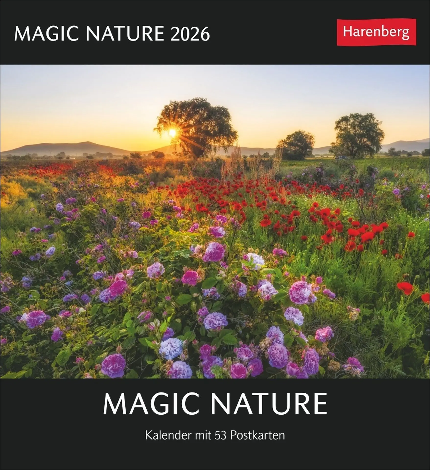Cover: 9783840036767 | Magic Nature Postkartenkalender Kalender 2026 - Kalender mit 53...