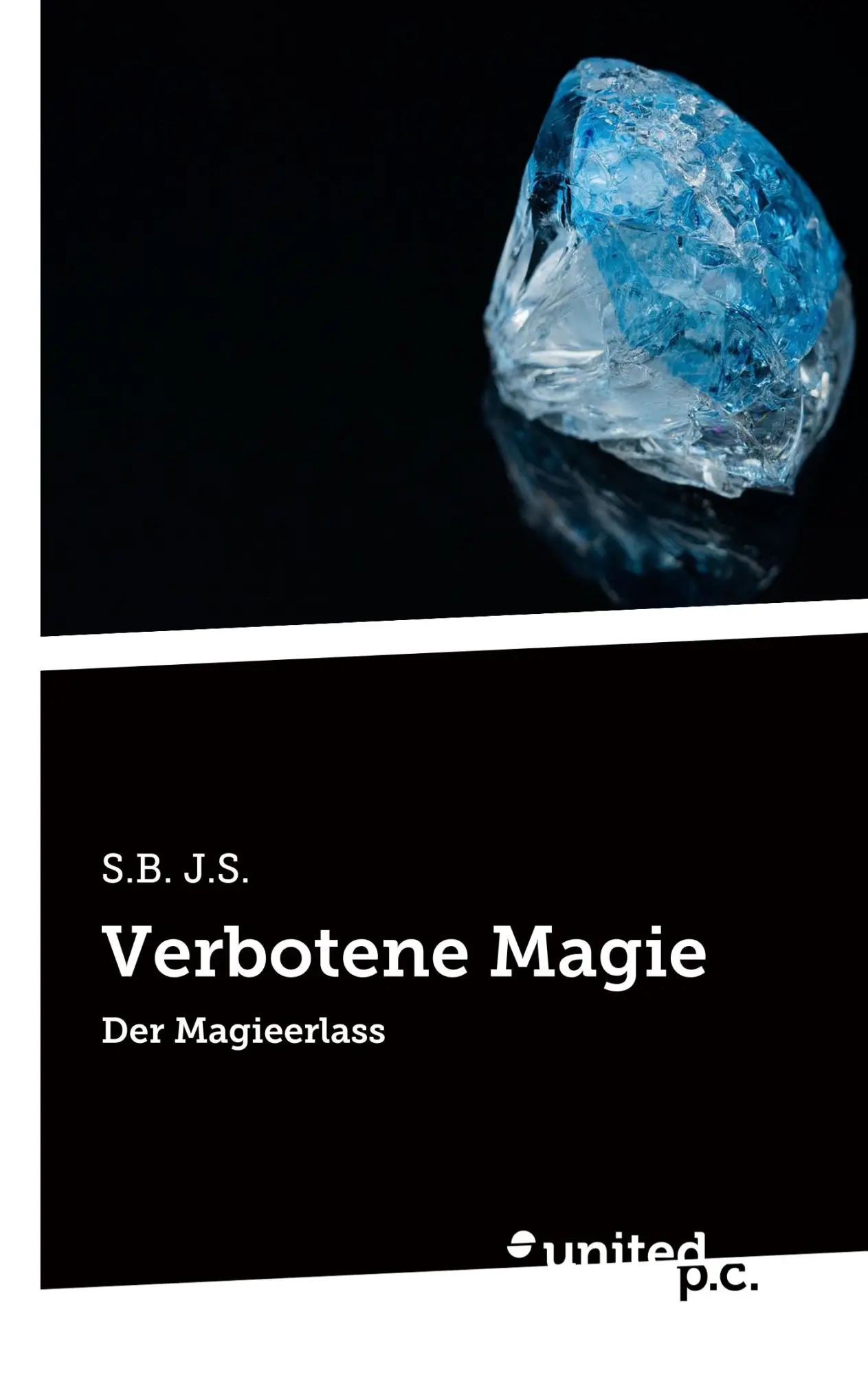 Cover: 9783710336867 | Verbotene Magie | Der Magieerlass | S. B. J. S. | Taschenbuch | 338 S.