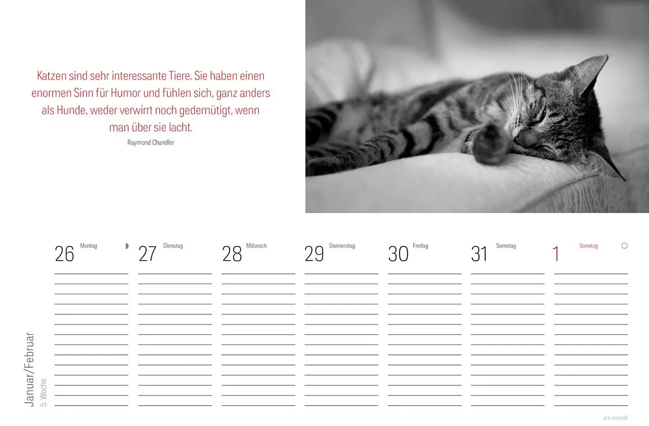 Bild: 9783747206867 | Tischkalender Katzen 2026 | Literarischer Tischkalender | Vivendi Ars