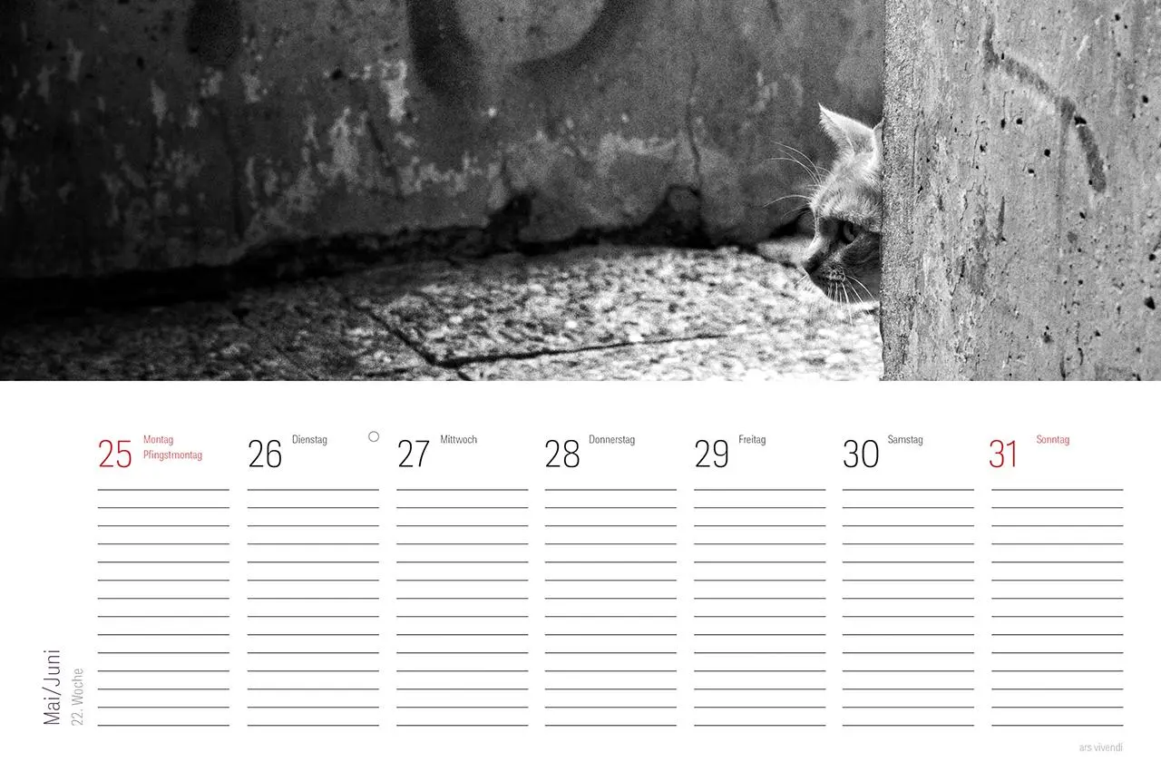 Bild: 9783747206867 | Tischkalender Katzen 2026 | Literarischer Tischkalender | Vivendi Ars