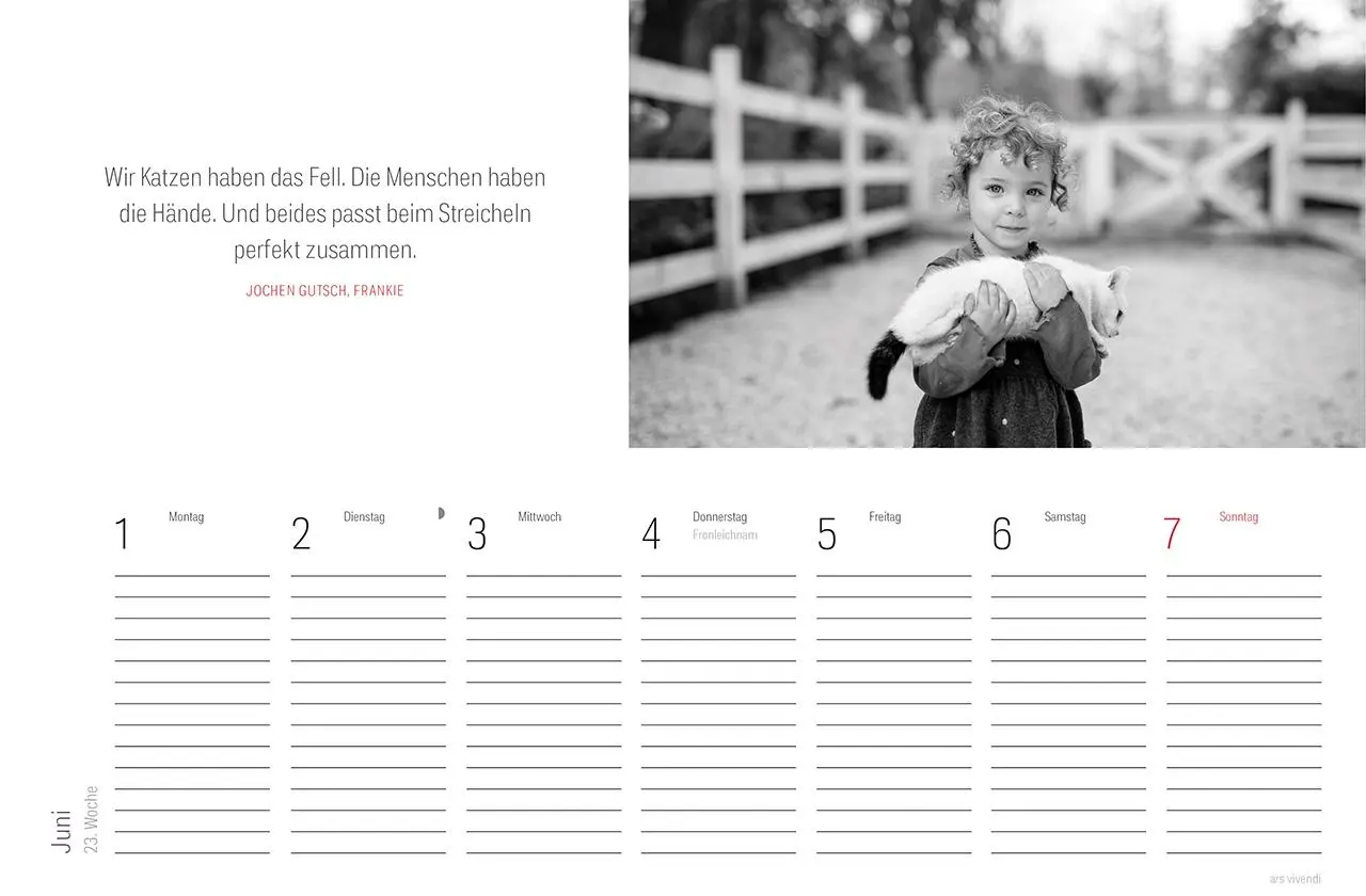 Bild: 9783747206867 | Tischkalender Katzen 2026 | Literarischer Tischkalender | Vivendi Ars