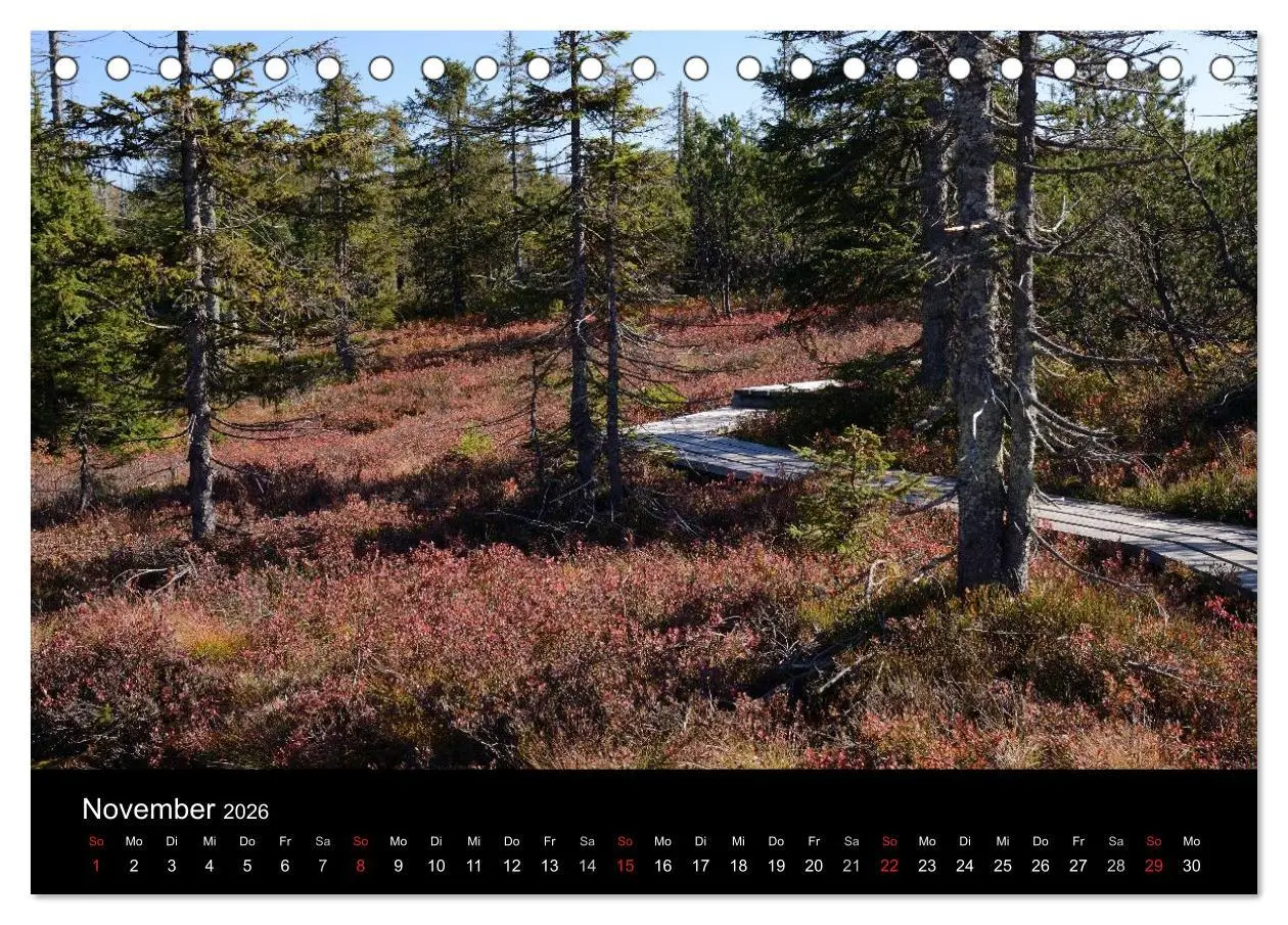 Bild: 9783457986967 | Zauberhafter Bayerischer Wald (Tischkalender 2026 DIN A5 quer),...