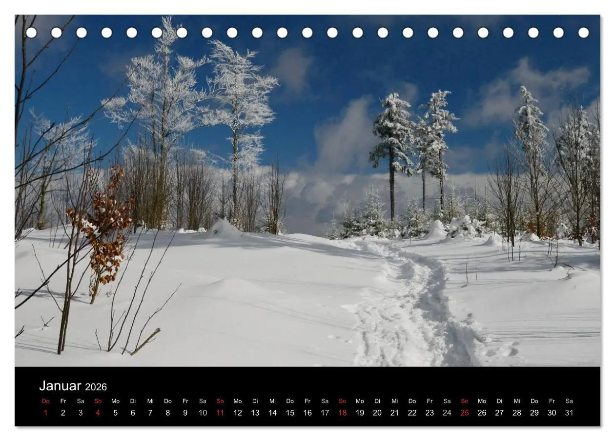 Bild: 9783457986967 | Zauberhafter Bayerischer Wald (Tischkalender 2026 DIN A5 quer),...