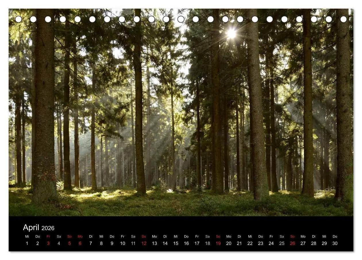 Bild: 9783457986967 | Zauberhafter Bayerischer Wald (Tischkalender 2026 DIN A5 quer),...