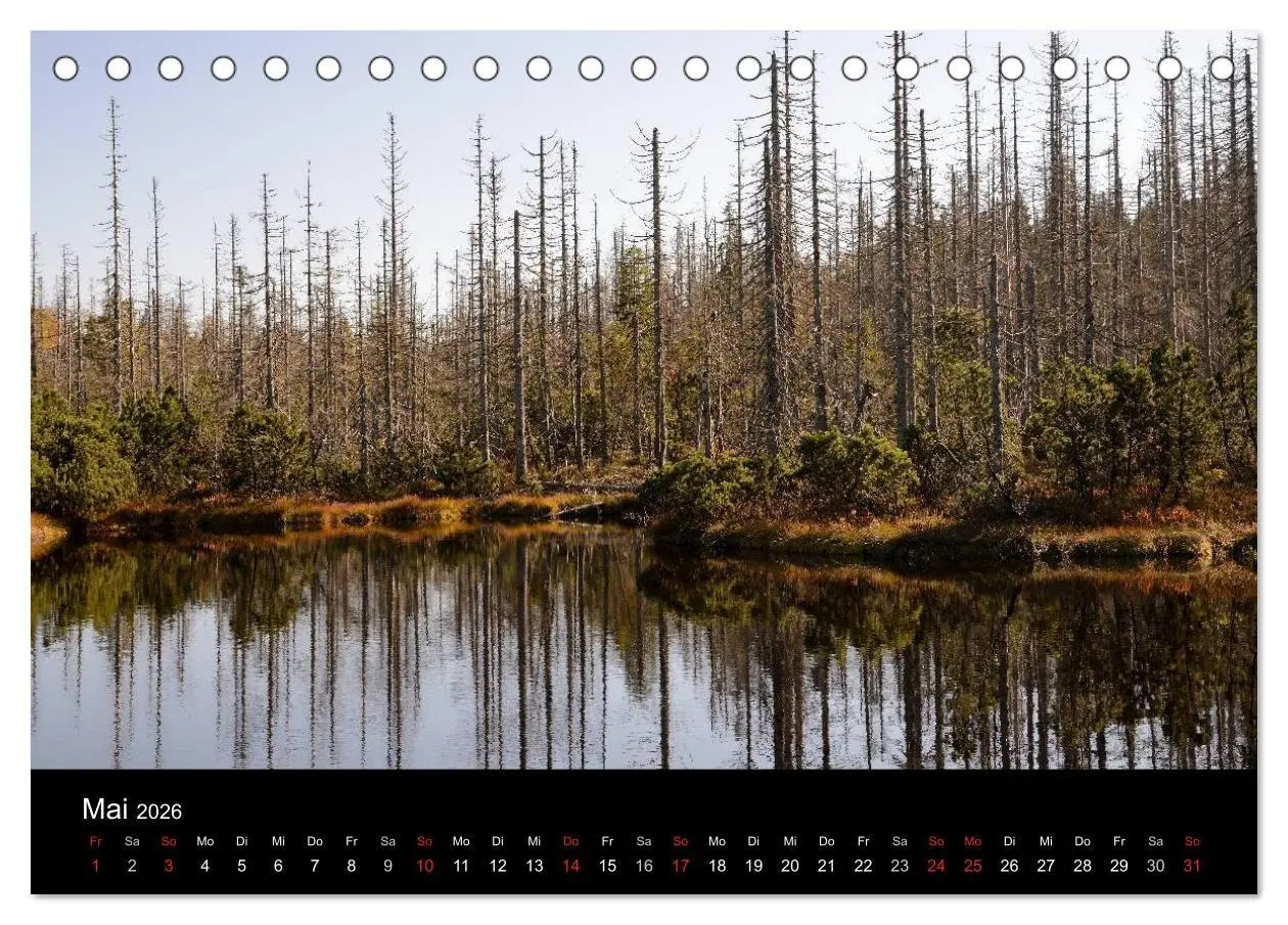 Bild: 9783457986967 | Zauberhafter Bayerischer Wald (Tischkalender 2026 DIN A5 quer),...