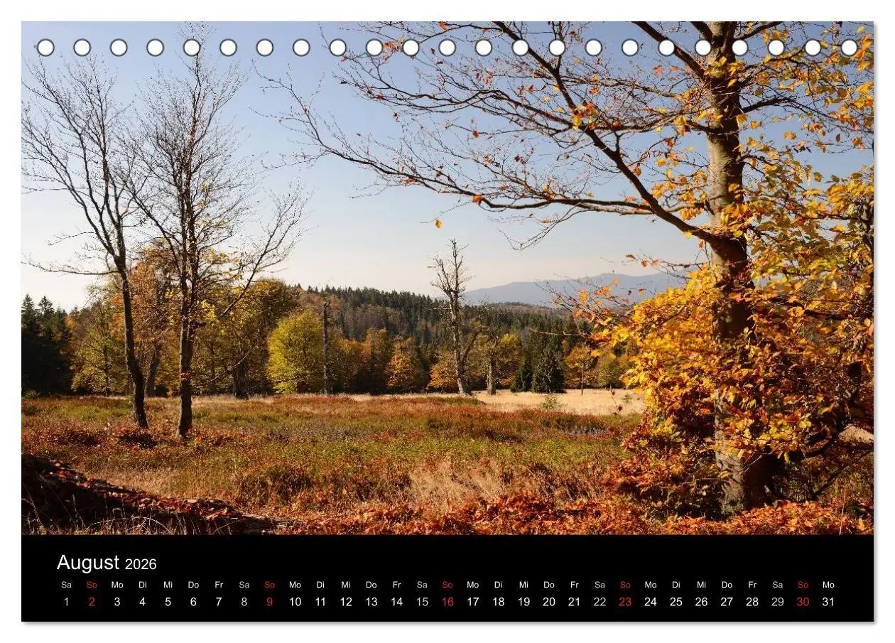 Bild: 9783457986967 | Zauberhafter Bayerischer Wald (Tischkalender 2026 DIN A5 quer),...